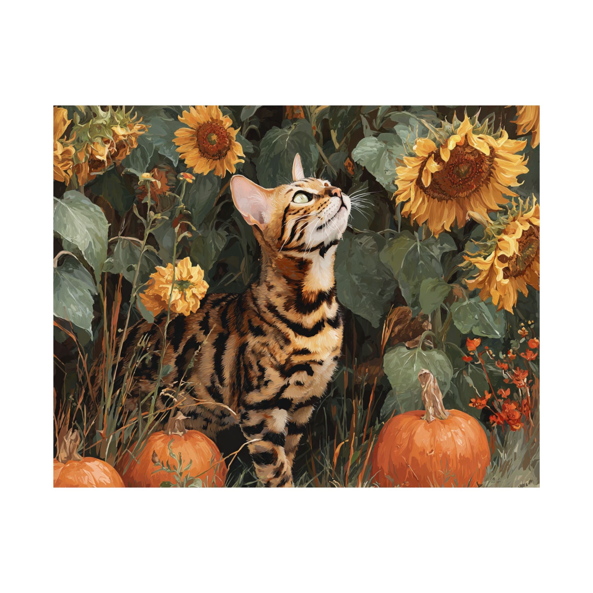 Bengal 1- Sunflower Season Collection
