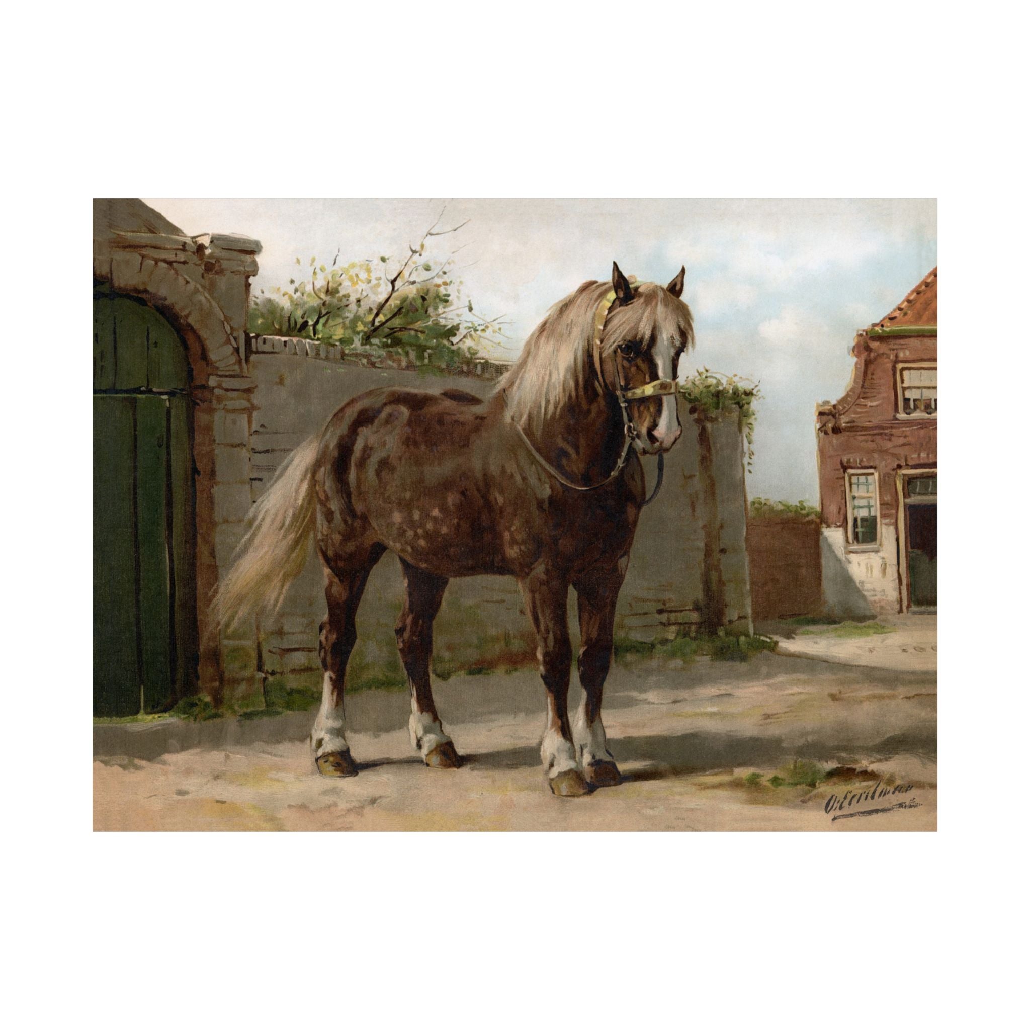 Zeeland Horse- Eerelman Collection