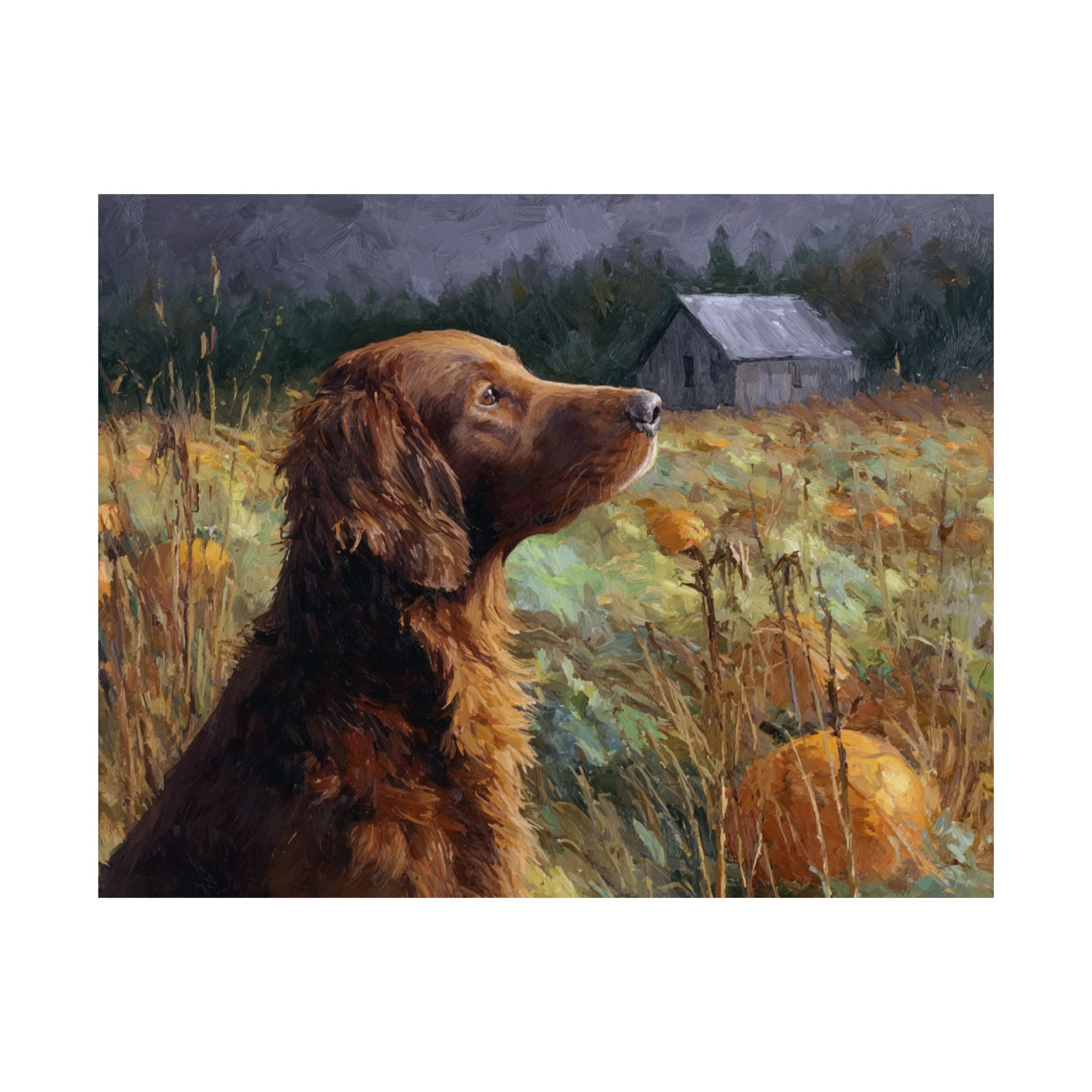 Irish Setter 1- Pumpkin Patch Collection