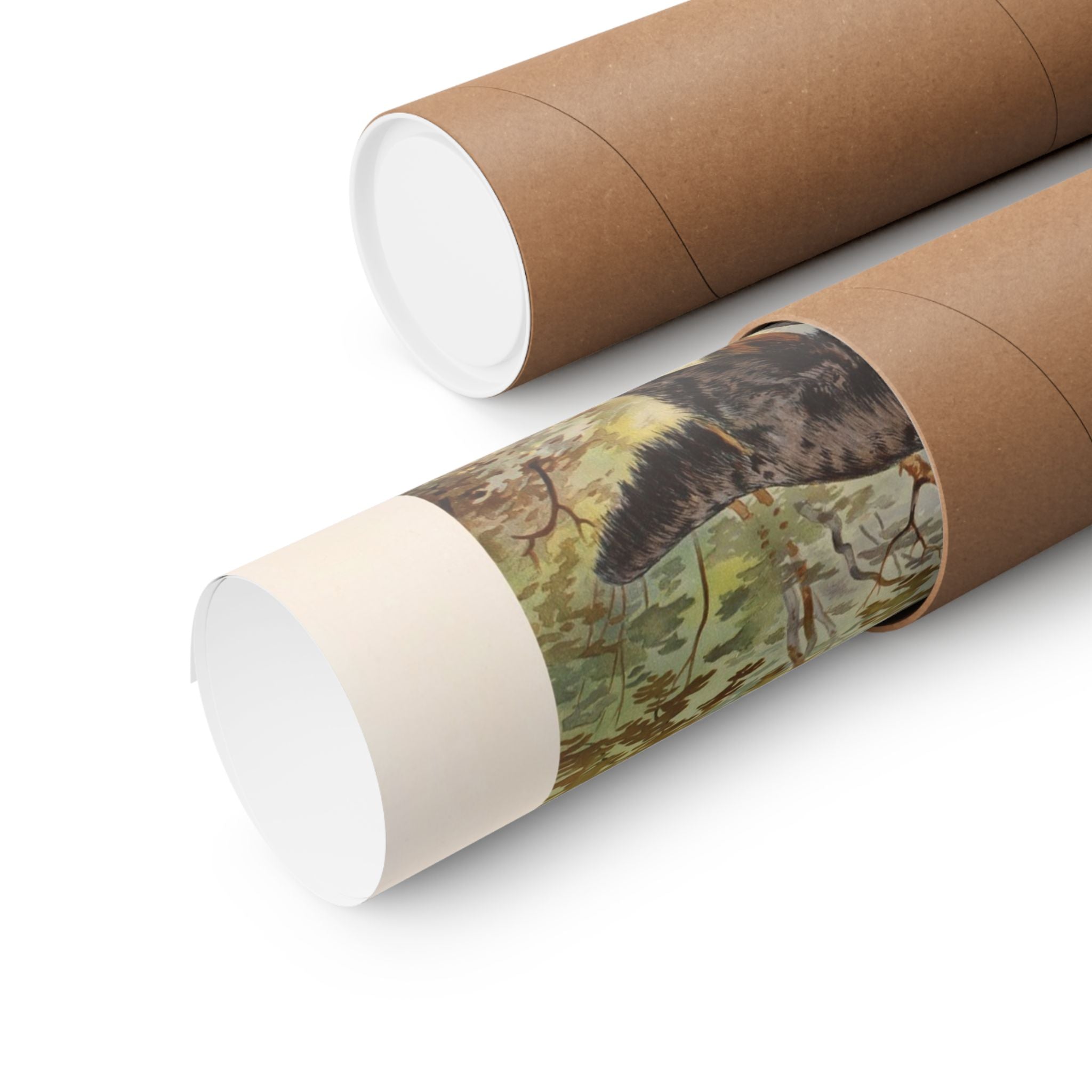 Black & Tan Setters- Pope Collection