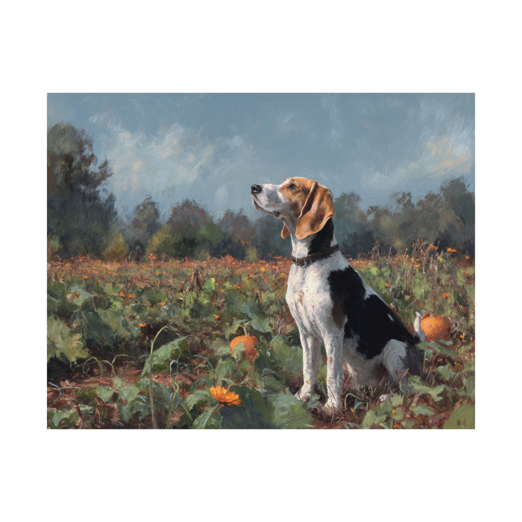 Hound Dog 7- Pumpkin Patch Collection