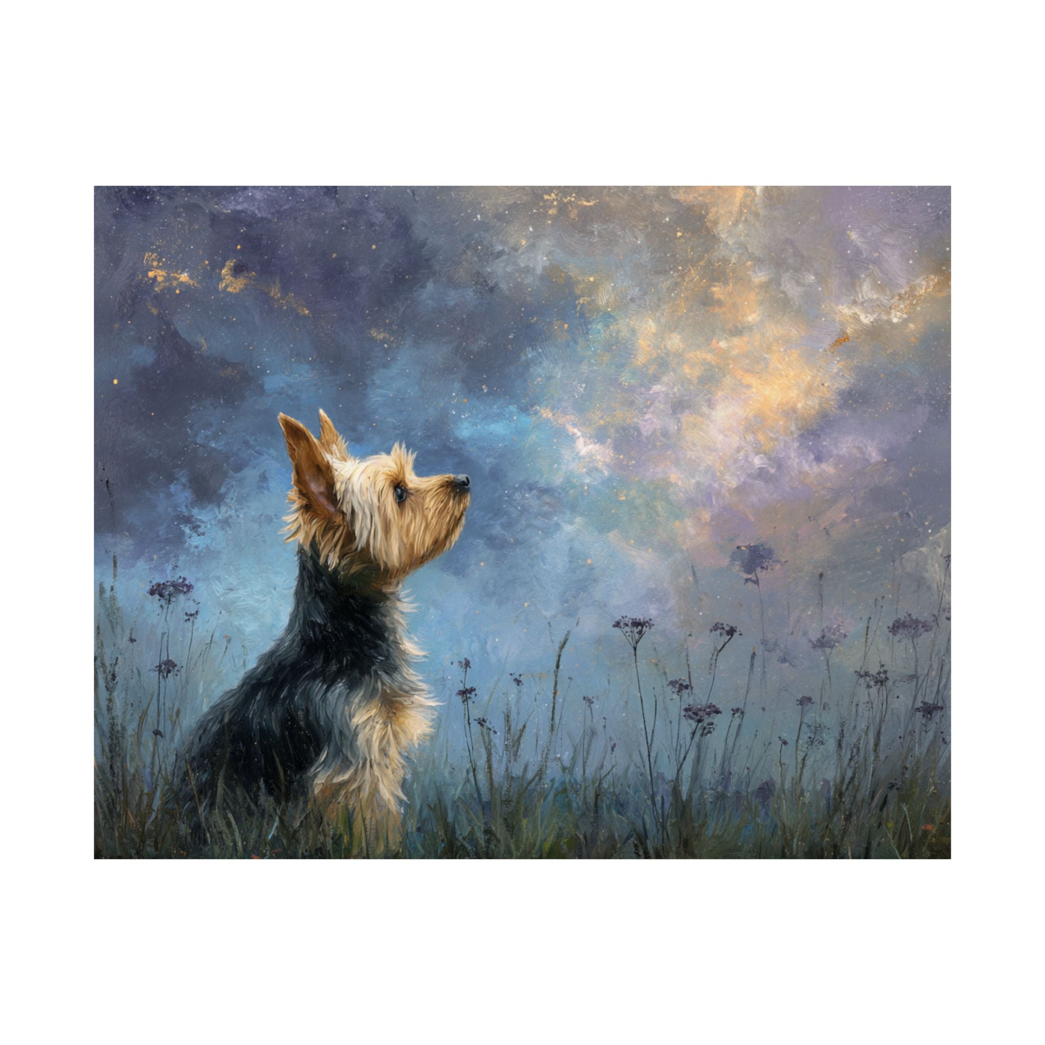Yorkshire Terrier 2- Dreamy Companions Collection