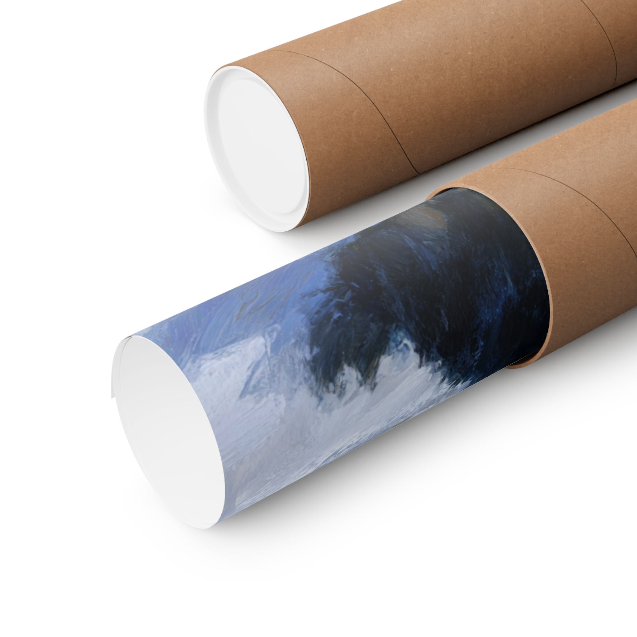 Bernese Mountain Dog 1- Adventure Paws Collection