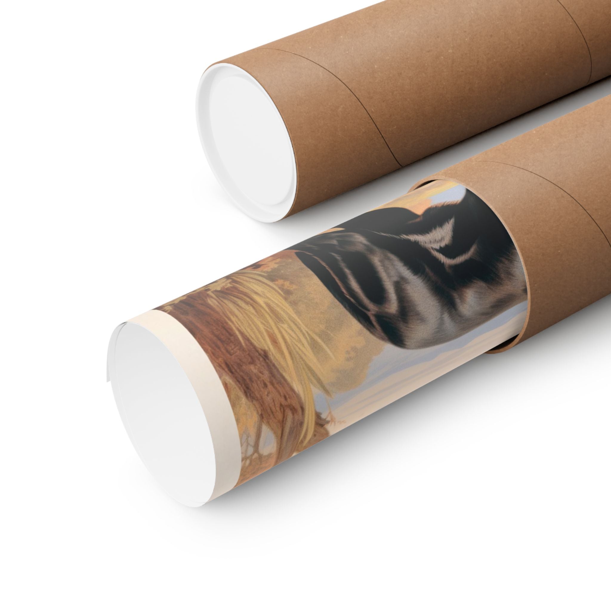 Labrador Retriever 2- CFA Edition