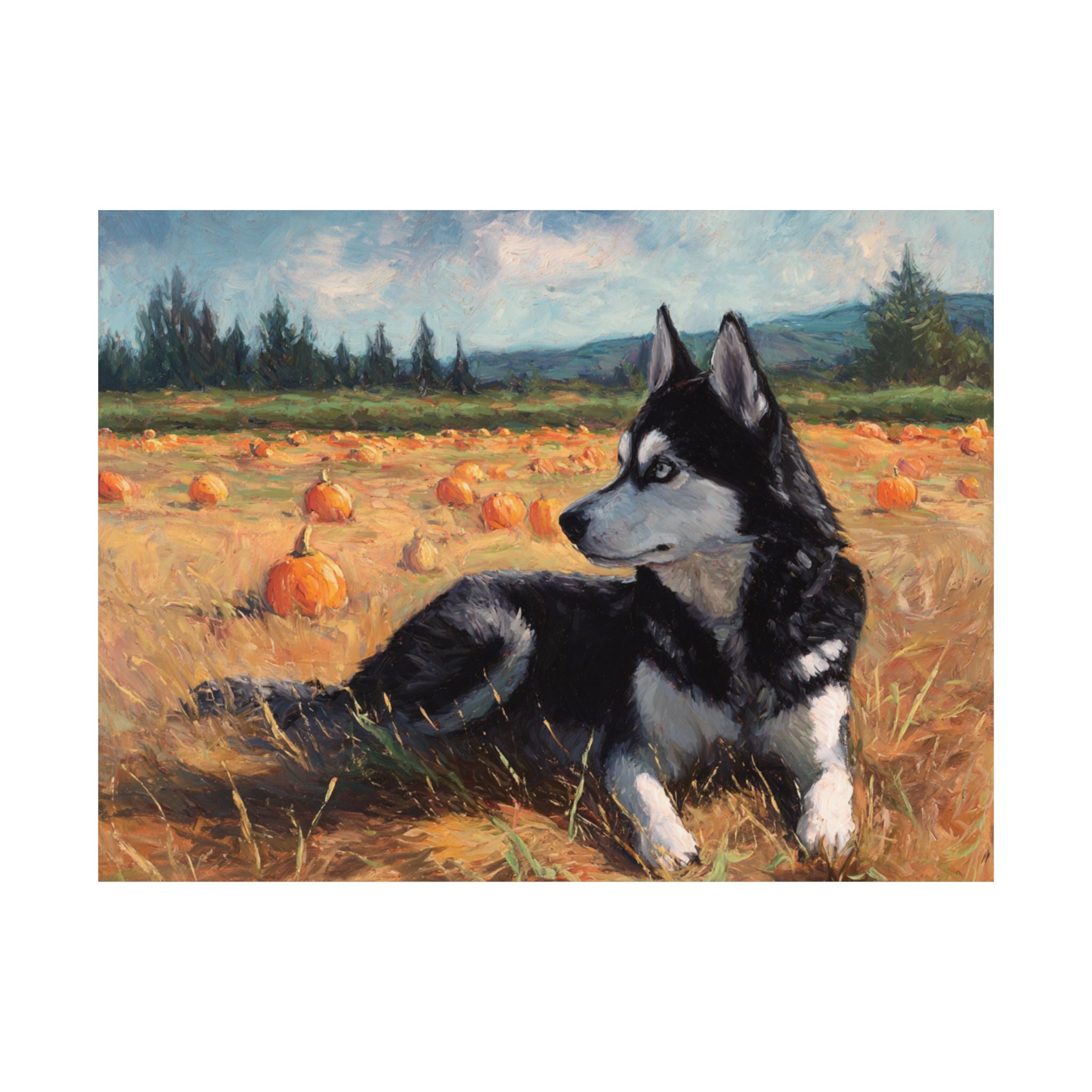 Husky 1- Pumpkin Patch Collection