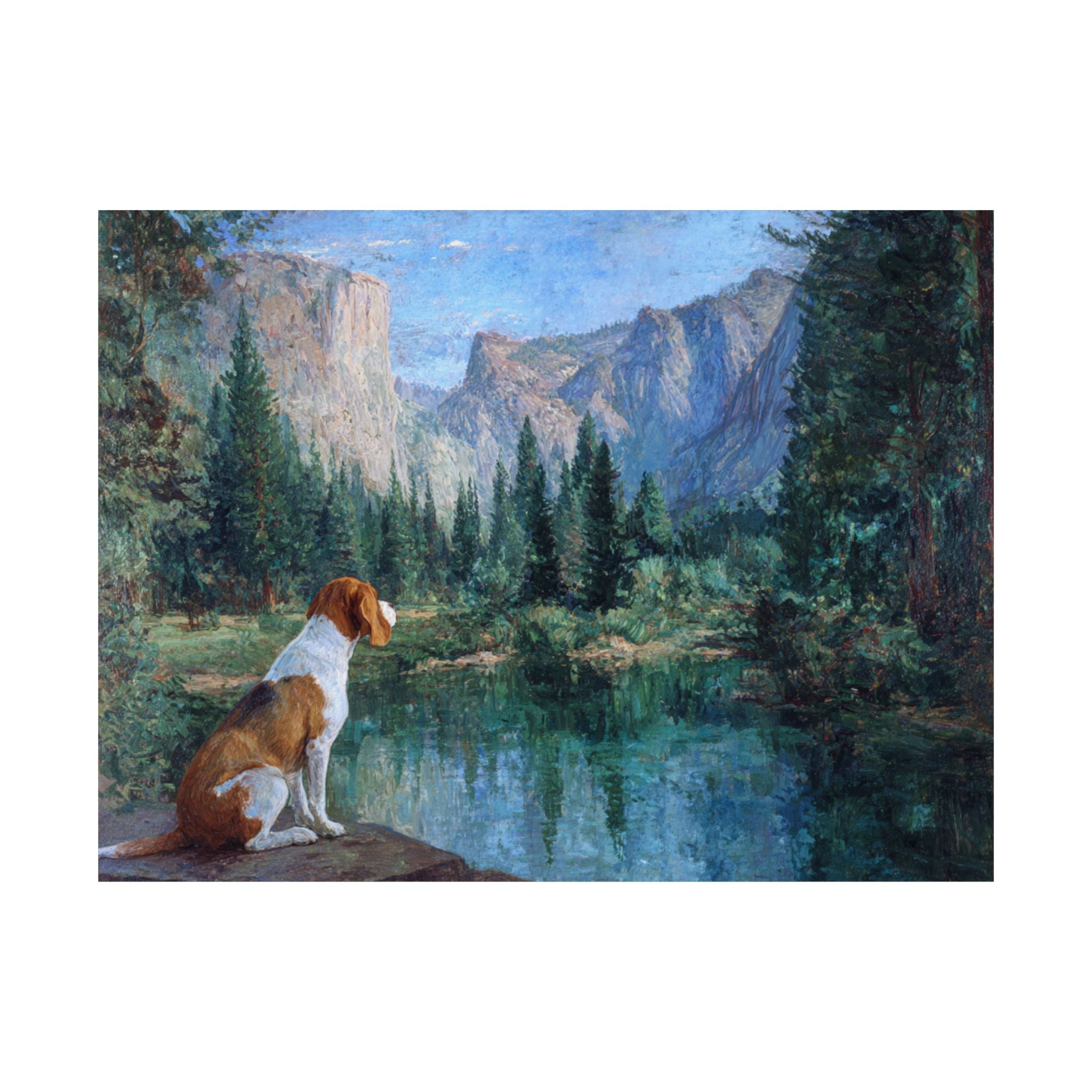 Beagle 3- Adventure Paws Collection