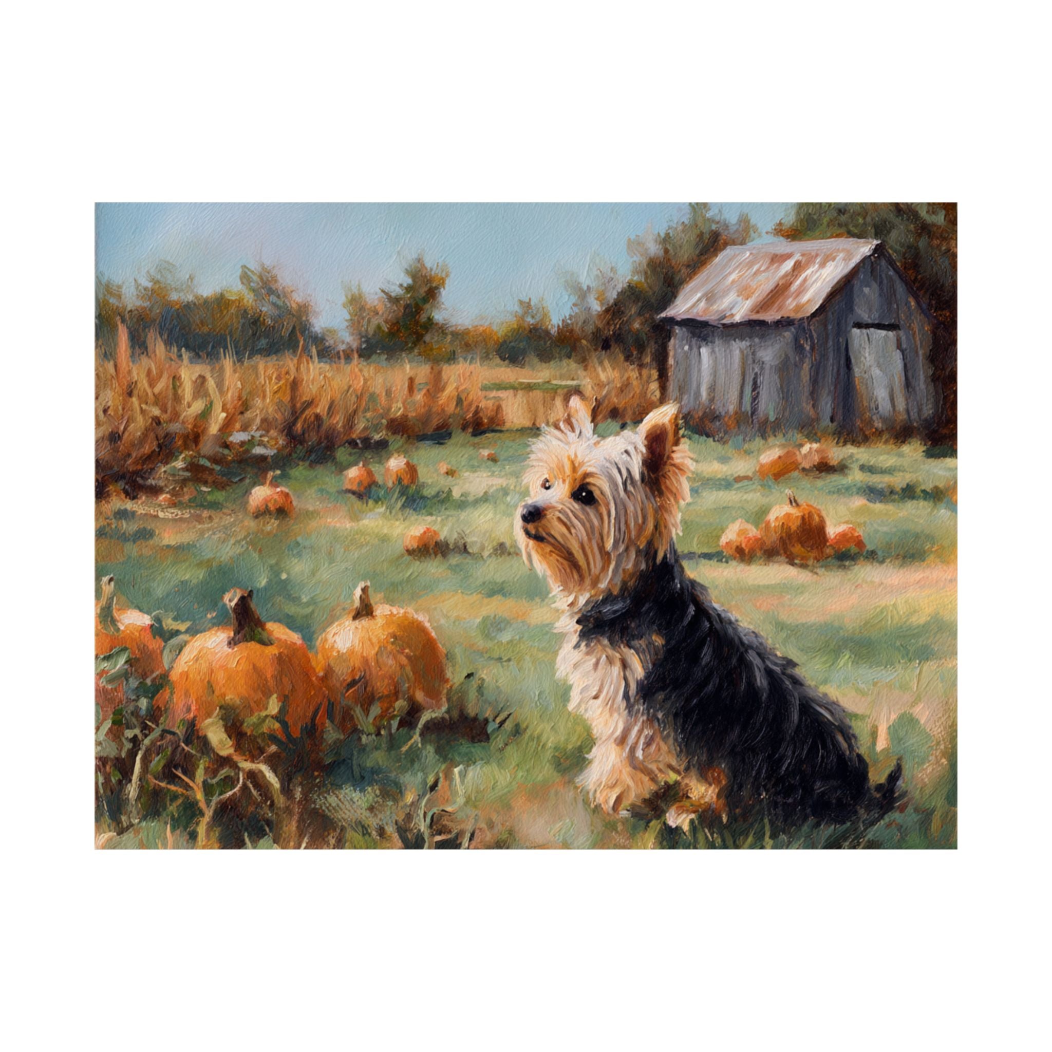 Yorkshire Terrier 3- Pumpkin Patch Collection