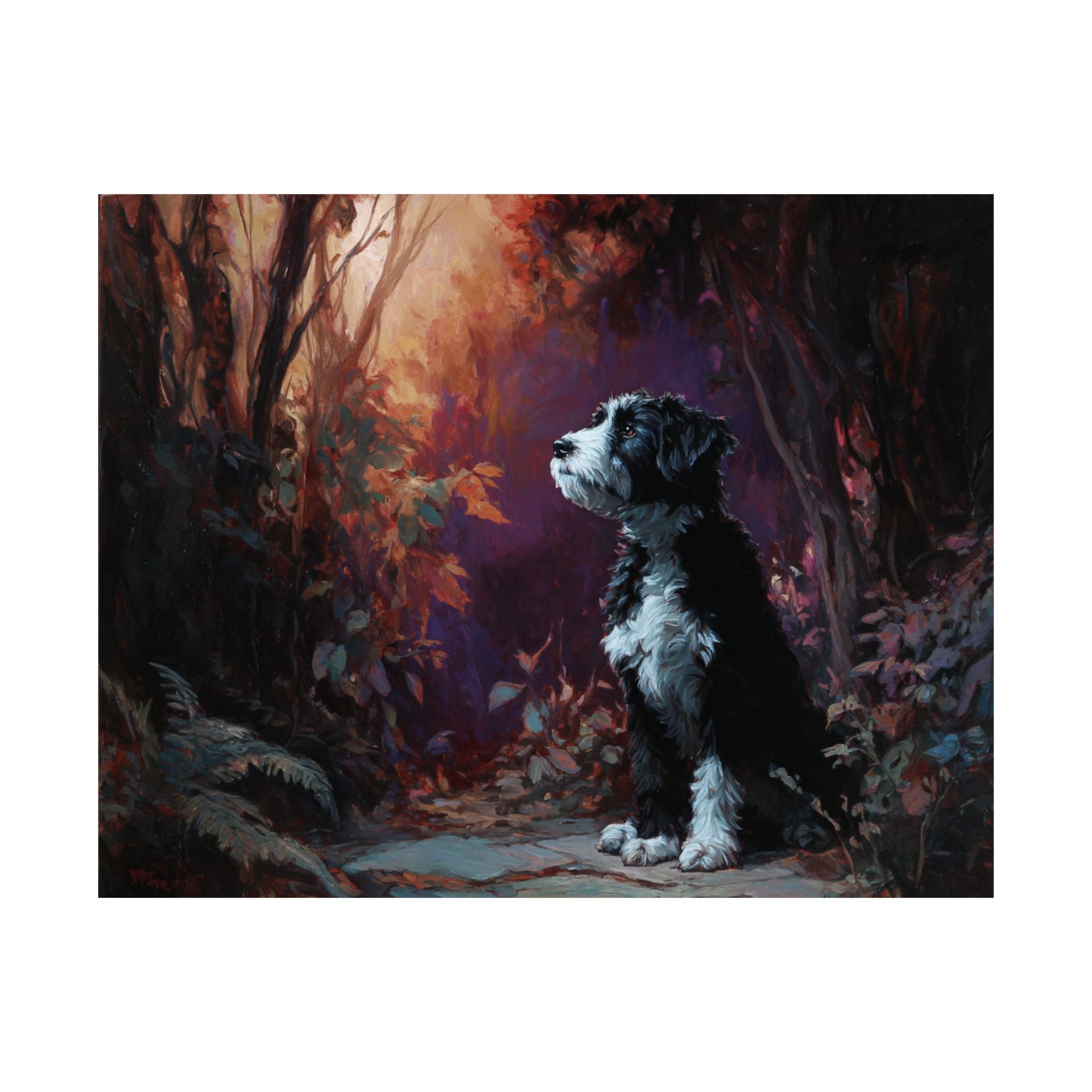 Aussiedoodle 4- Howl-oween Collection