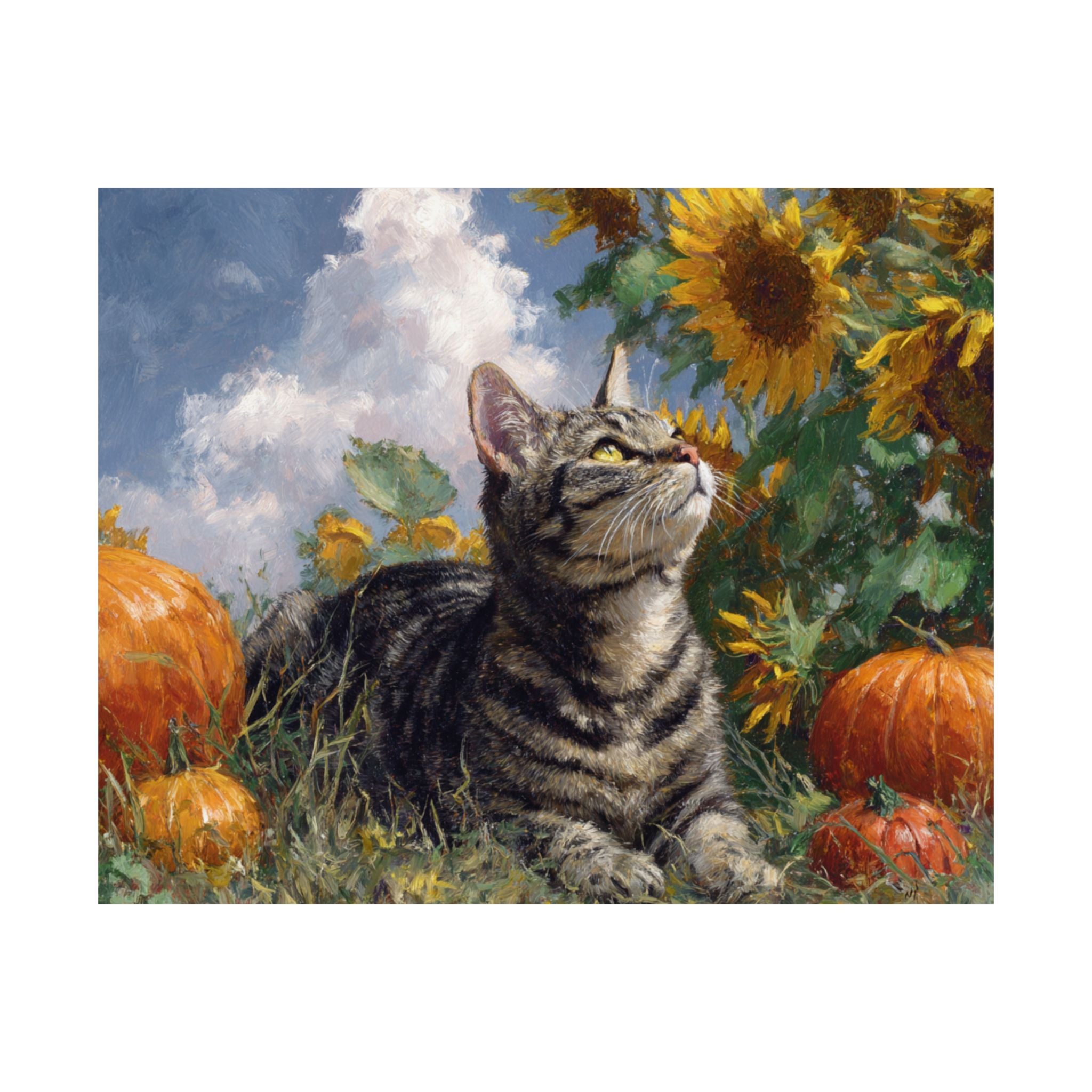 British Short Hair 1- Sunflower Season Collection