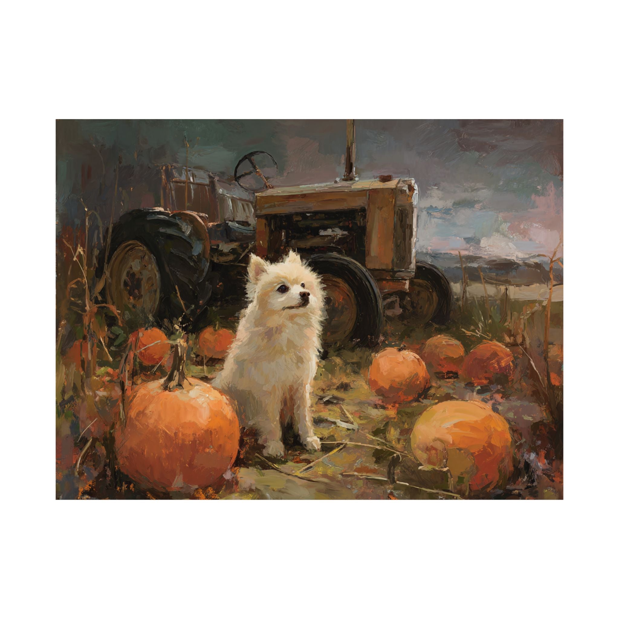 Pomeranian 2- Pumpkin Patch Collection