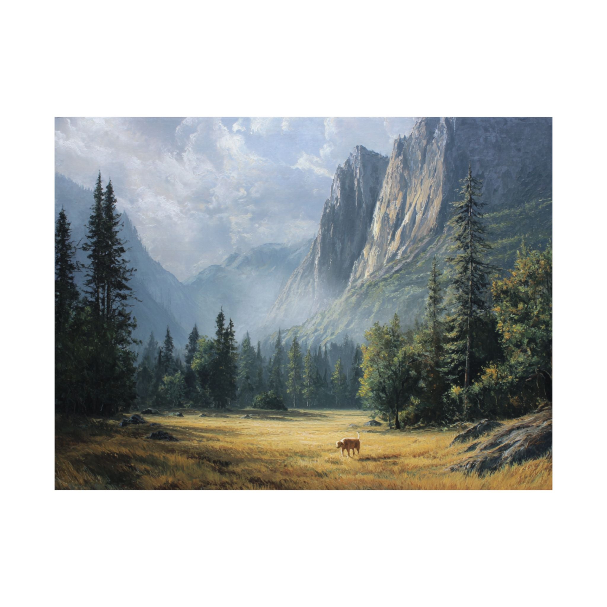Golden Retriever 3- Adventure Paws Collection