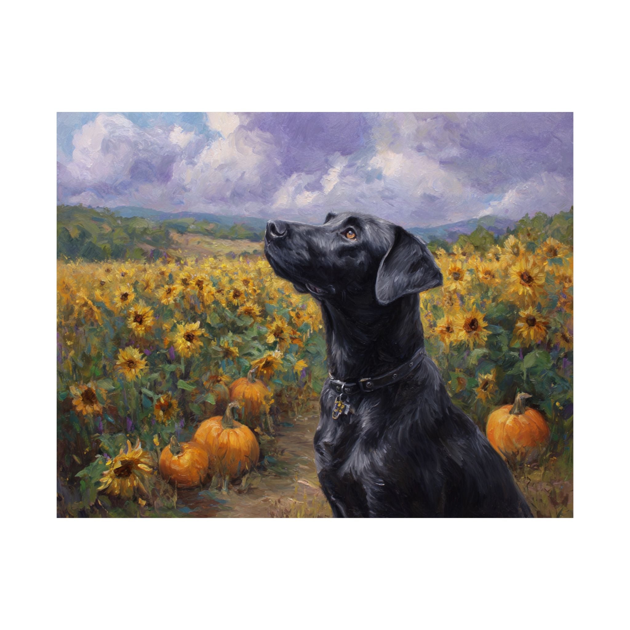 Labrador Retriever 2- Sunflower Season Collection
