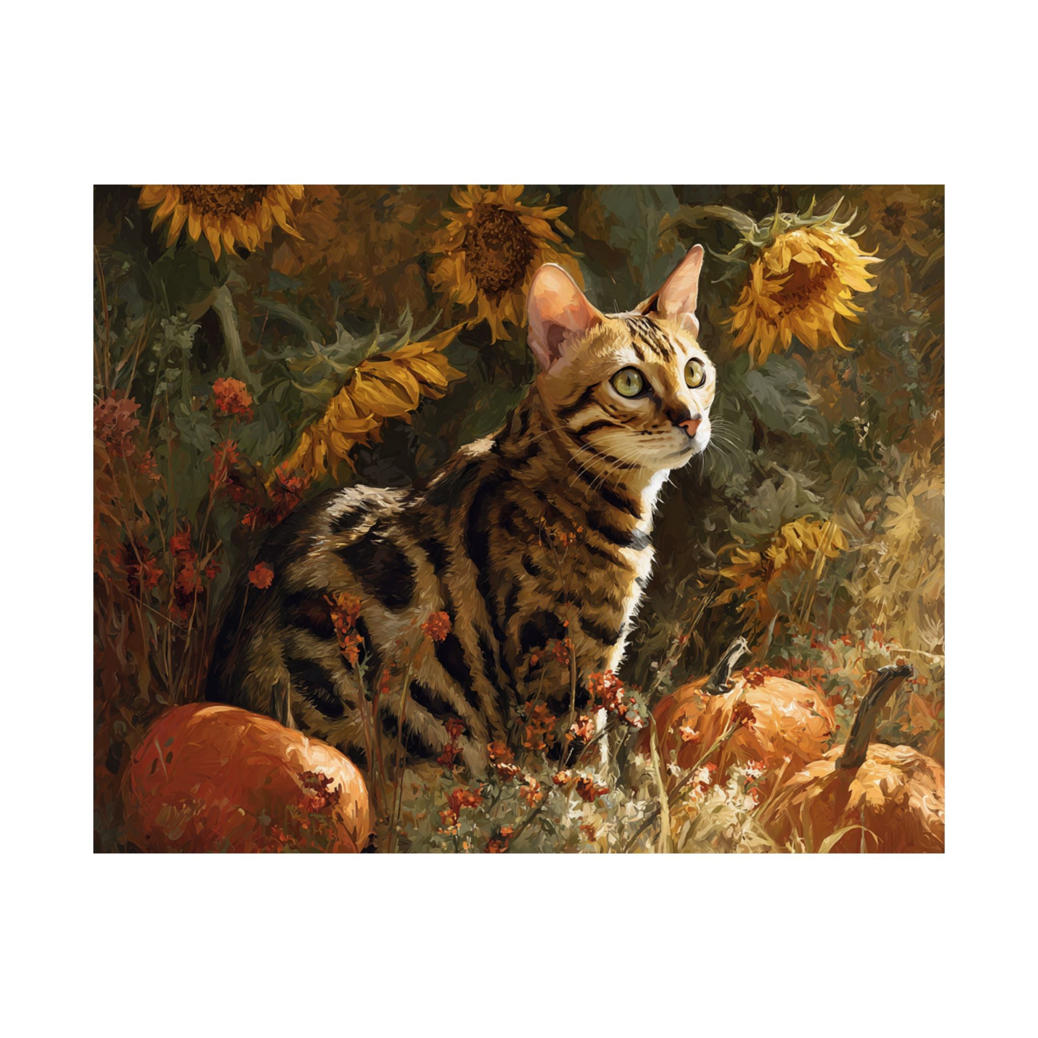 Bengal 2- Sunflower Season Collection