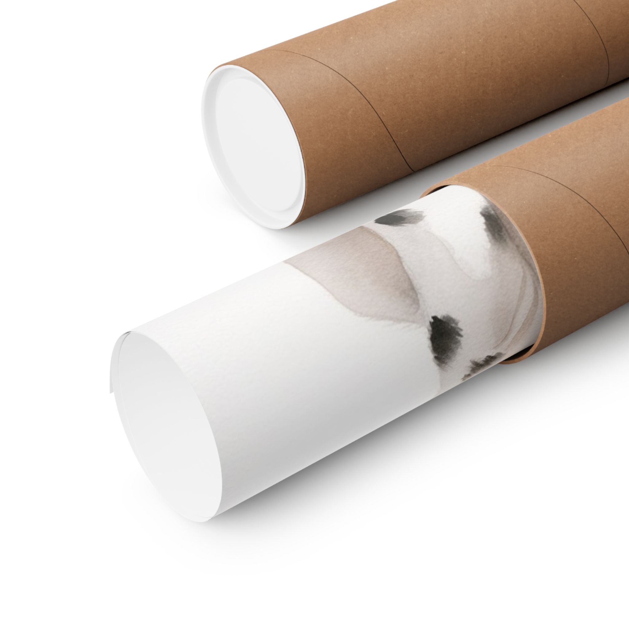 Dalmatian 1- Bow Collection