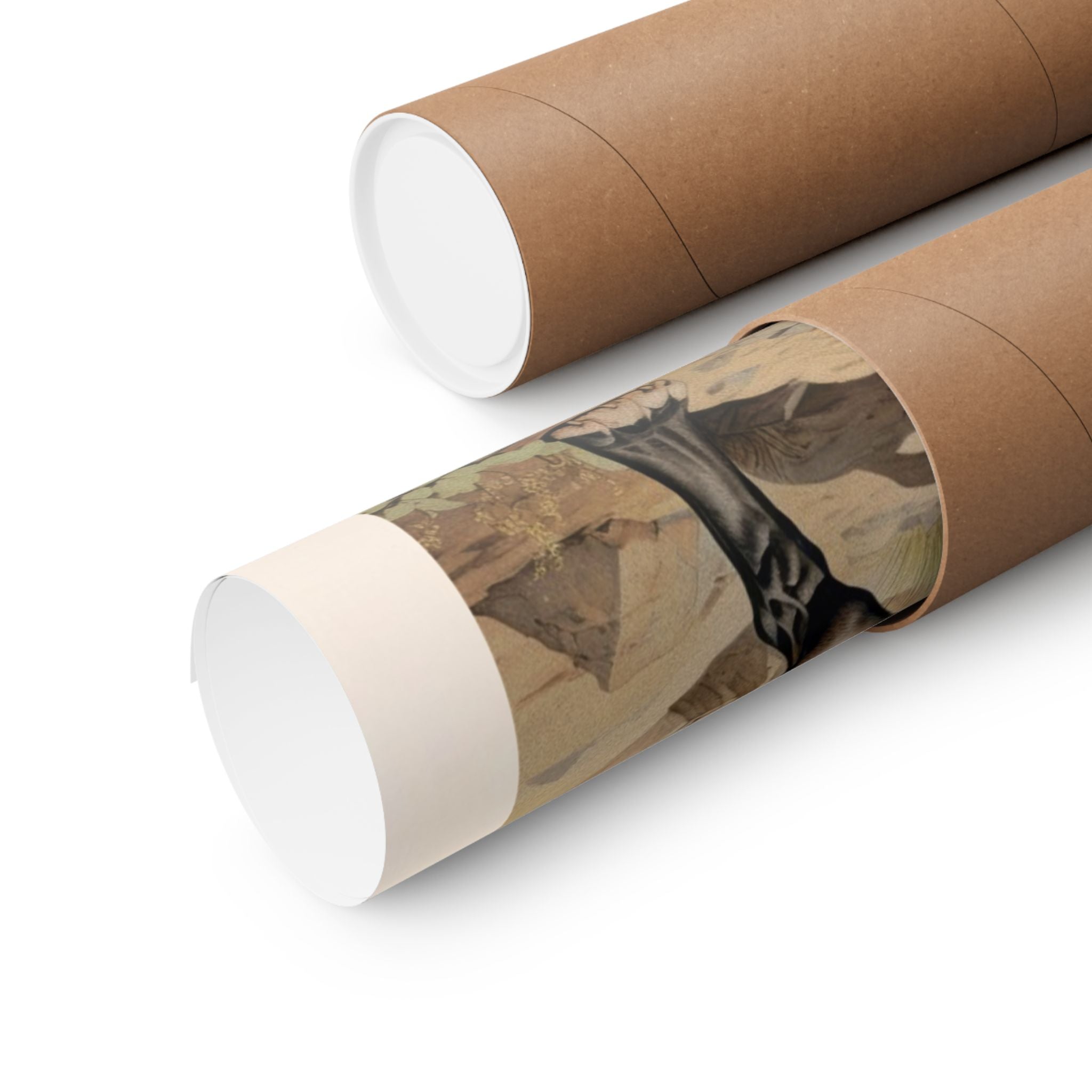 American Bully Dog 1- CFA Edition