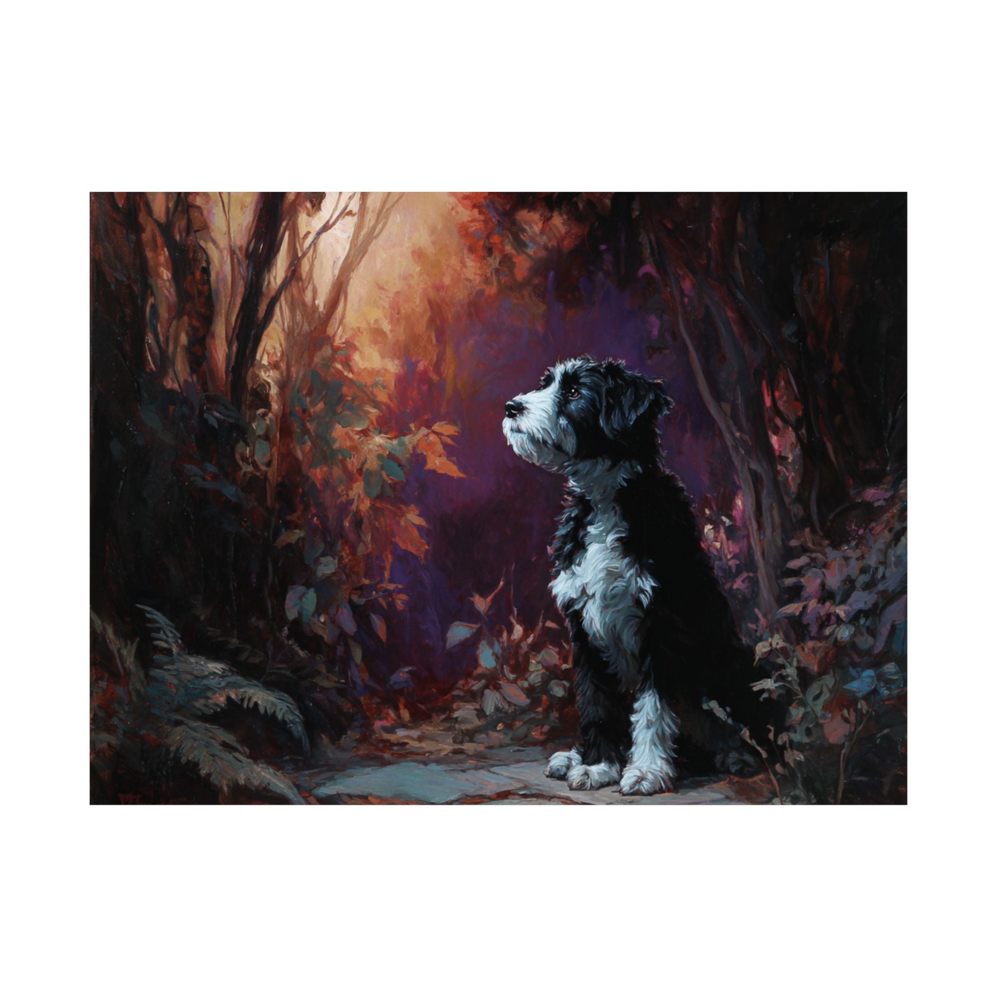 Aussiedoodle 4- Howl-oween Collection