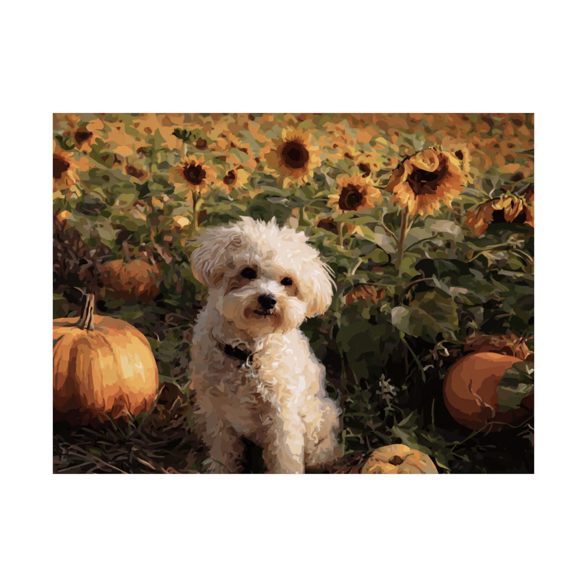 Mini Poodle 3- Sunflower Season Collection
