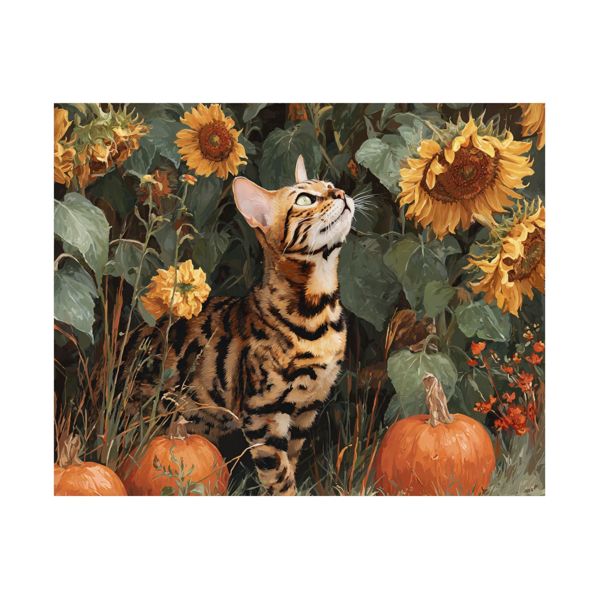 Bengal 1- Sunflower Season Collection