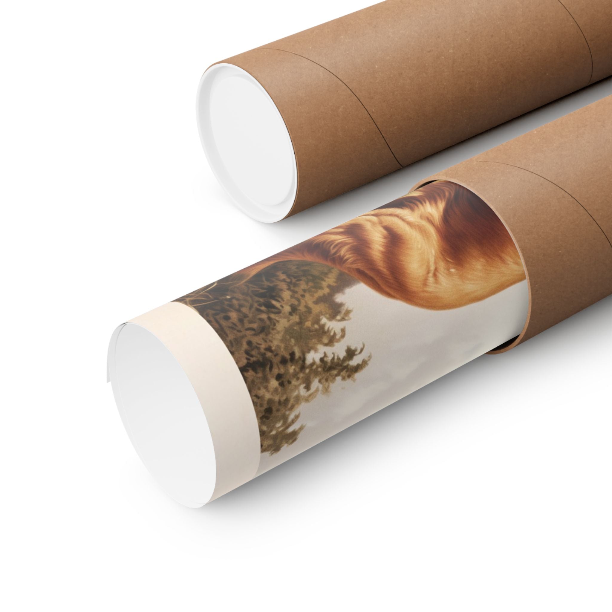 Golden Retriever- CFA Edition