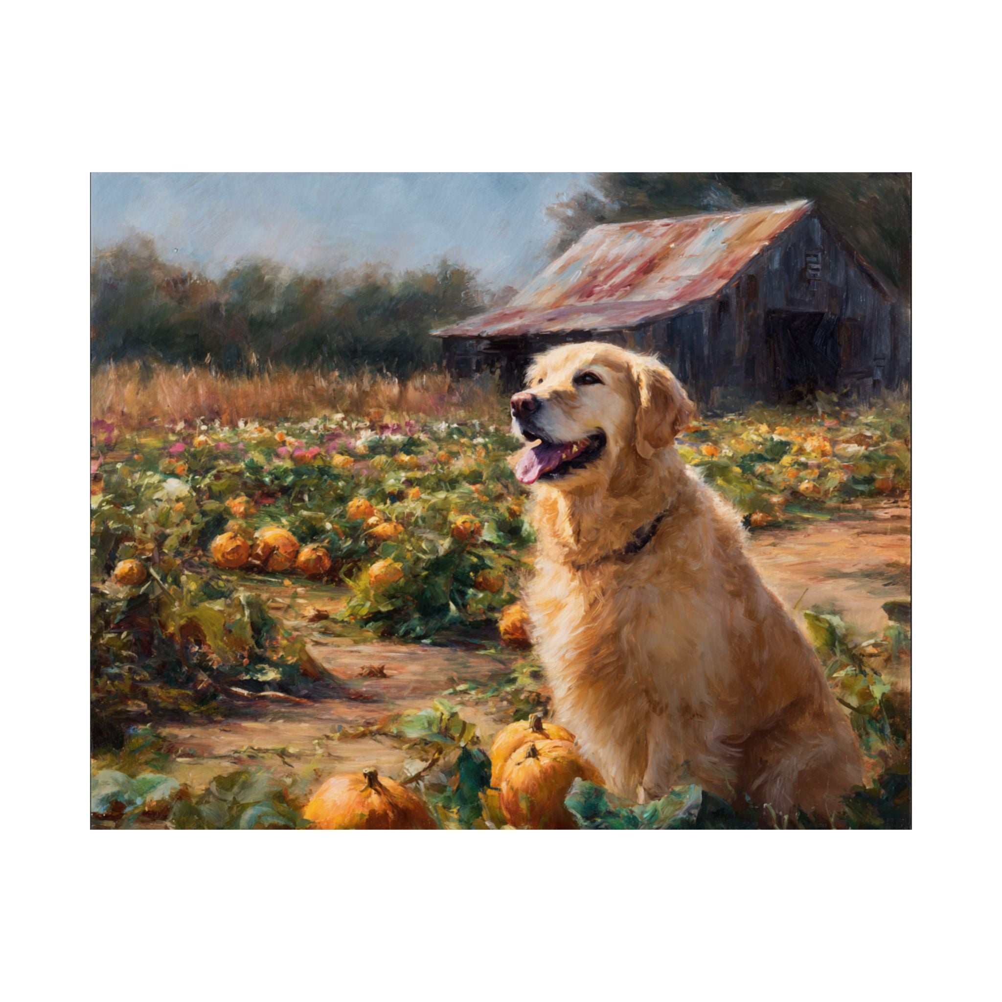 Golden Retriever 1- Pumpkin Patch Collection