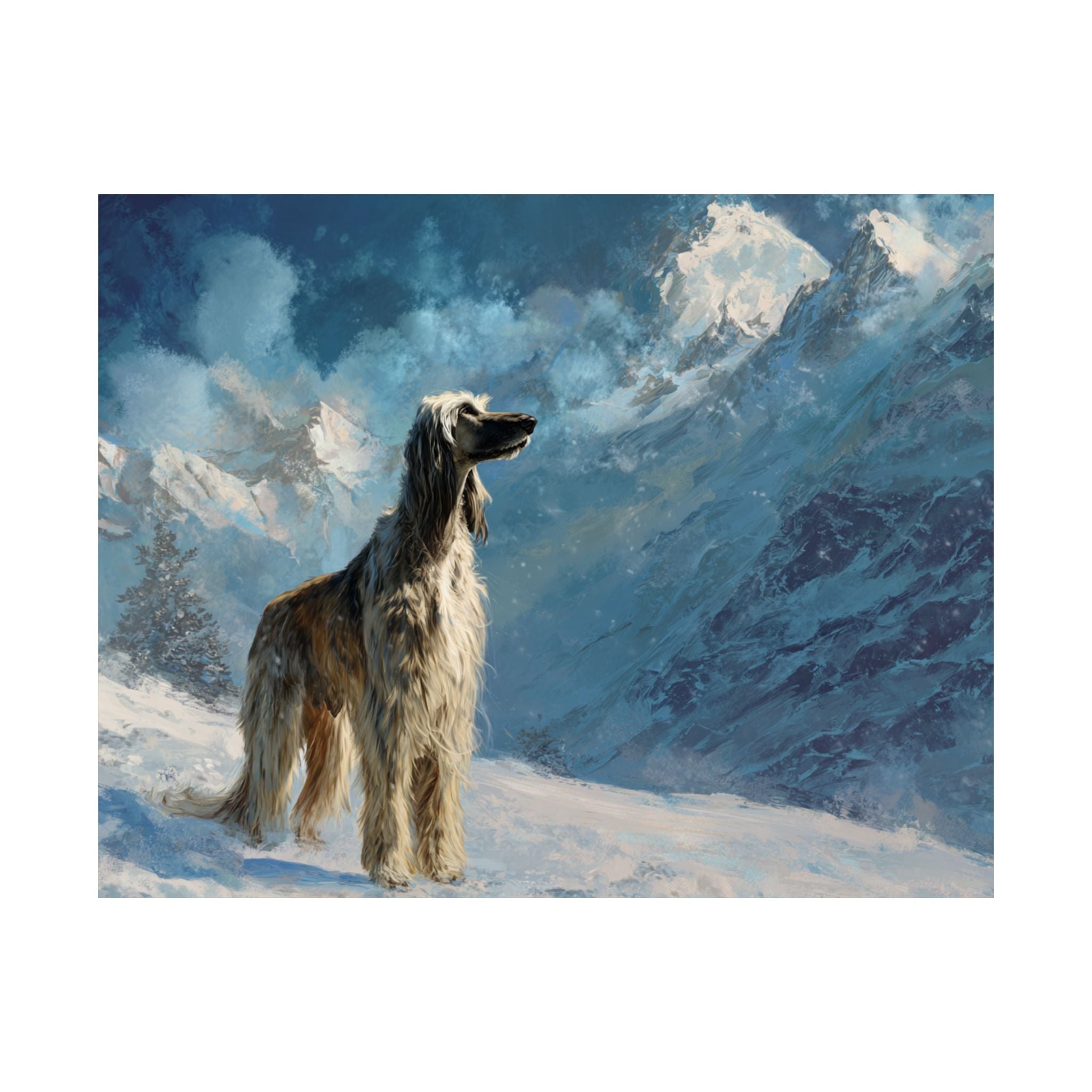 Afghan Hound 1- Winter Whiskers Collection