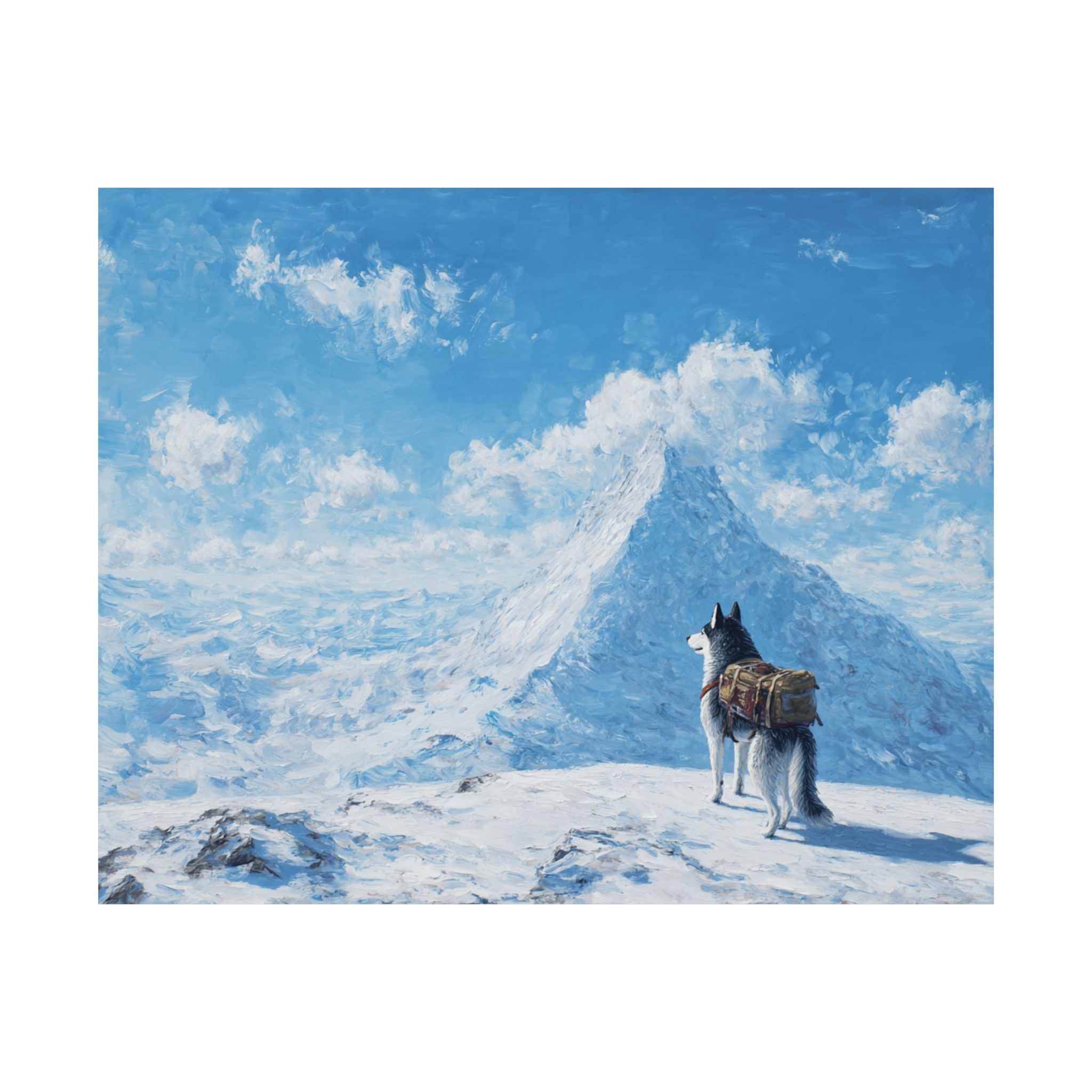 Husky 5- Adventure Paws Collection