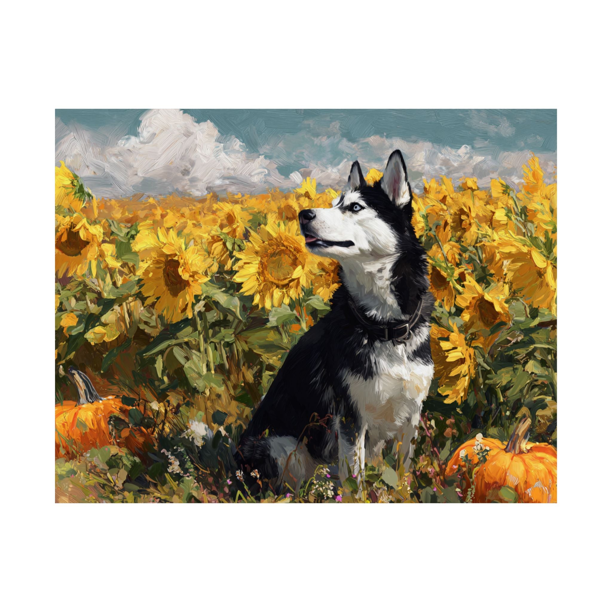 Husky 2- Sunflower Season Collection