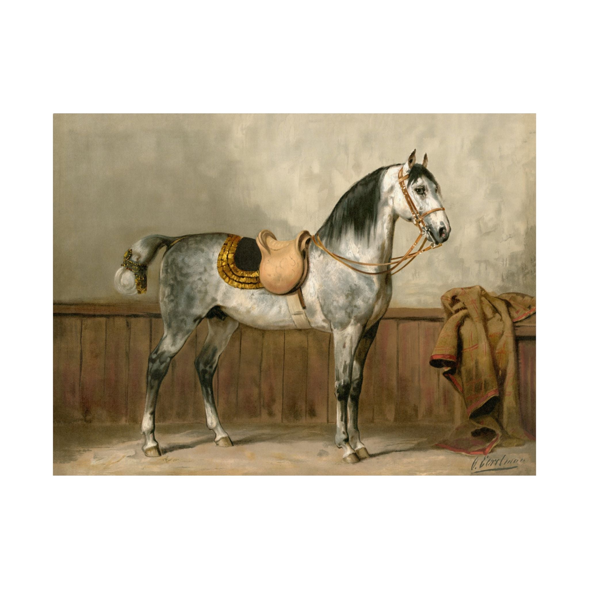 Lippizaner Horse- Eerelman Collection
