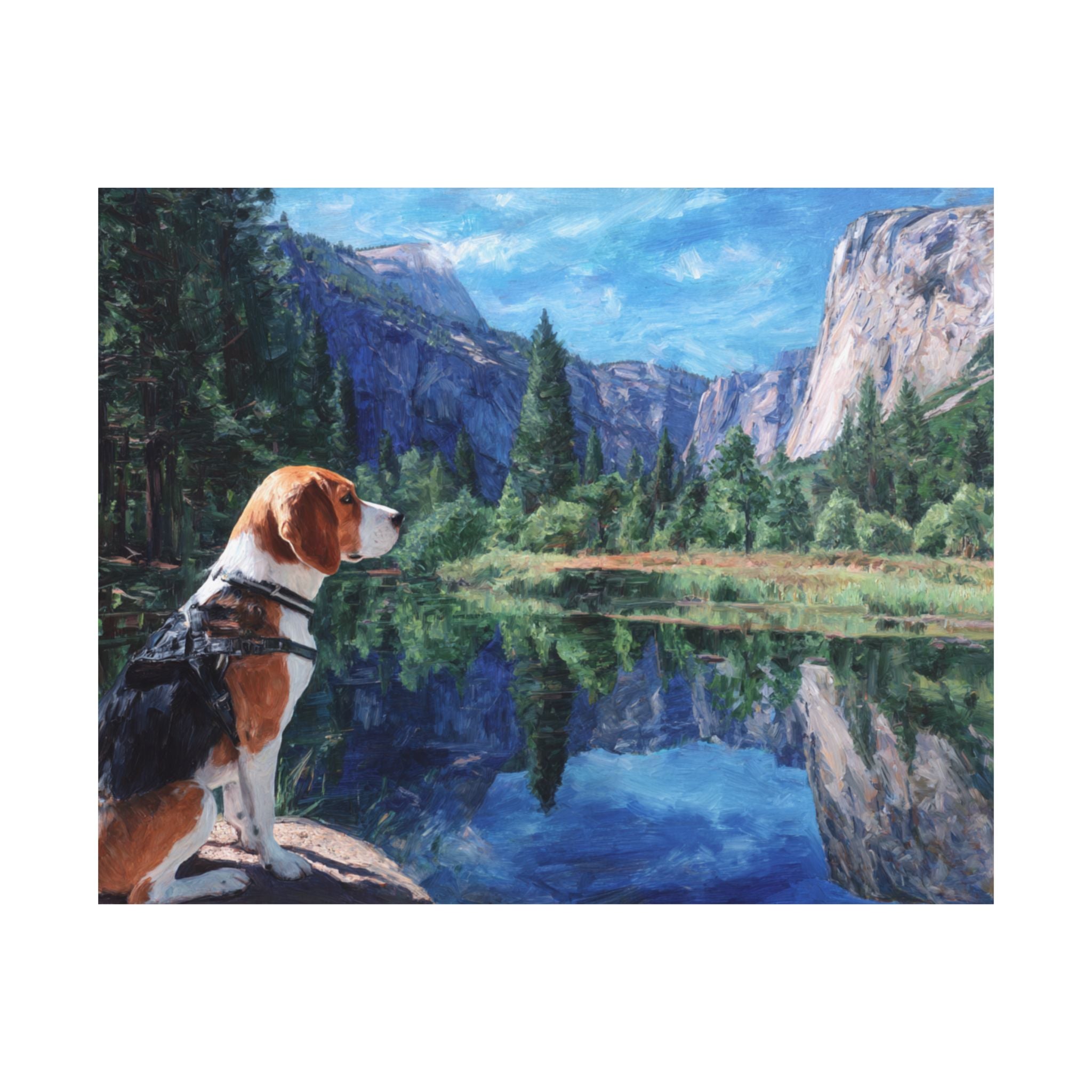 Beagle 2- Adventure Paws Collection