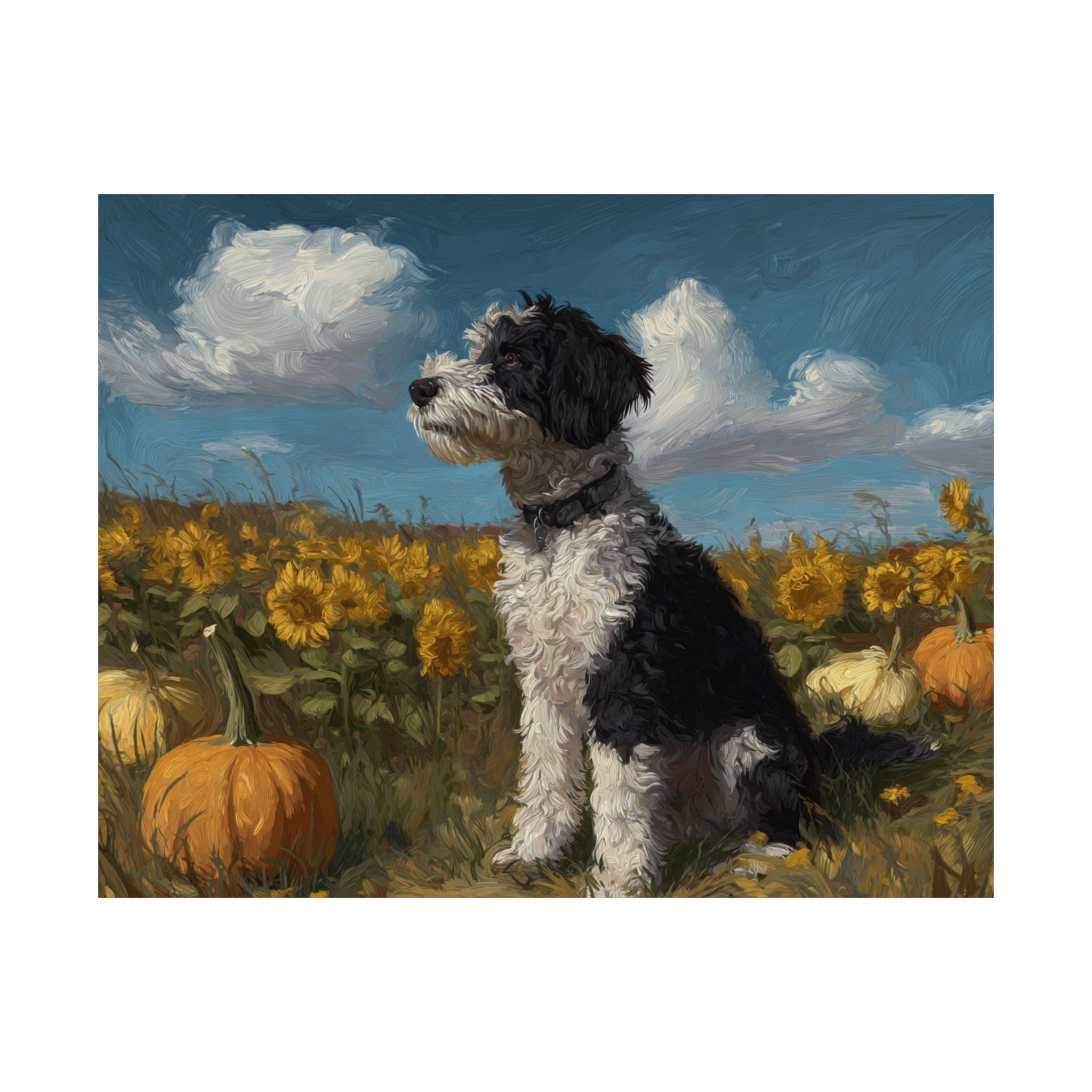 Aussiedoodle 4- Sunflower Season Collection