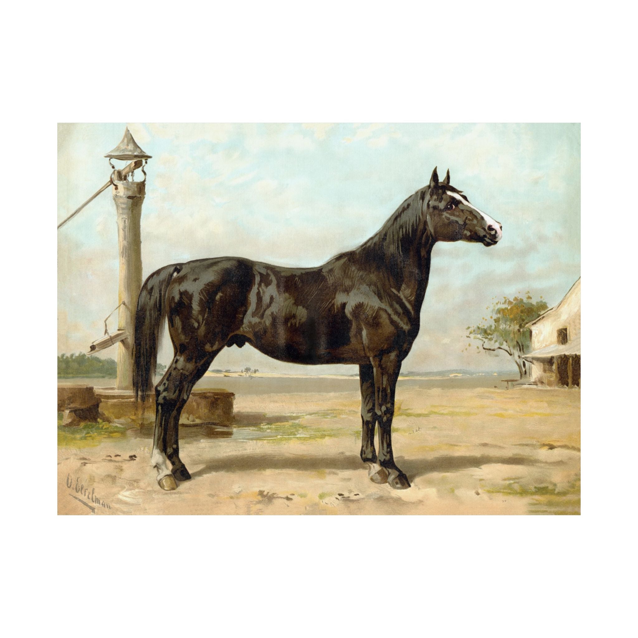 Hungarian Horse- Eerelman Collection