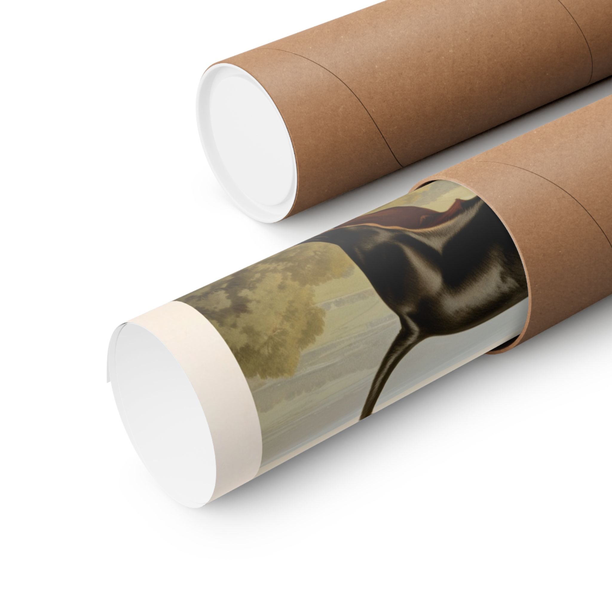 Dachshund 3- CFA Edition