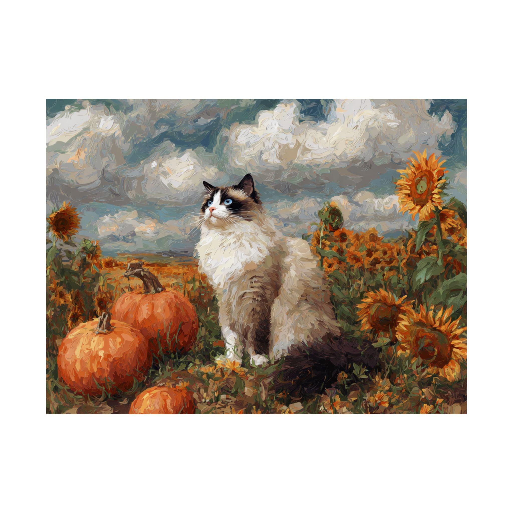 Ragdoll 2- Sunflower Season Collection