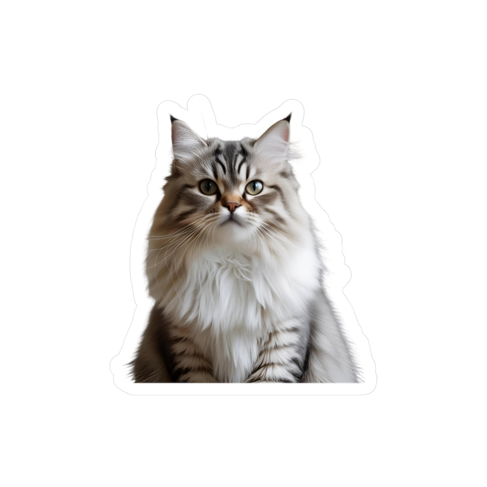 Siberian Cat Vinyl Decal