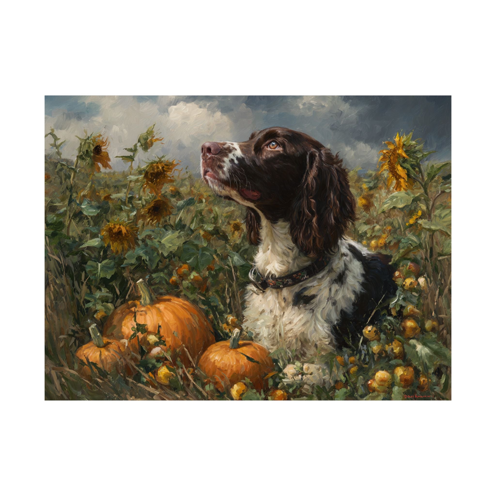 Springer Spaniel 3- Sunflower Season Collection