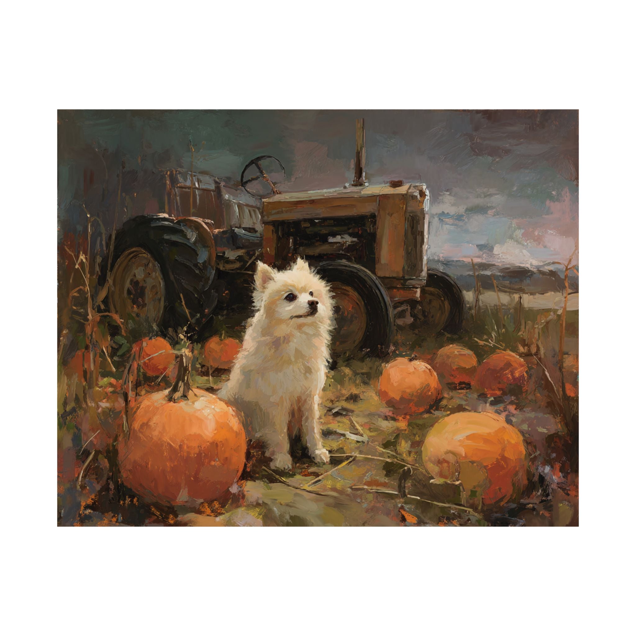 Pomeranian 2- Pumpkin Patch Collection