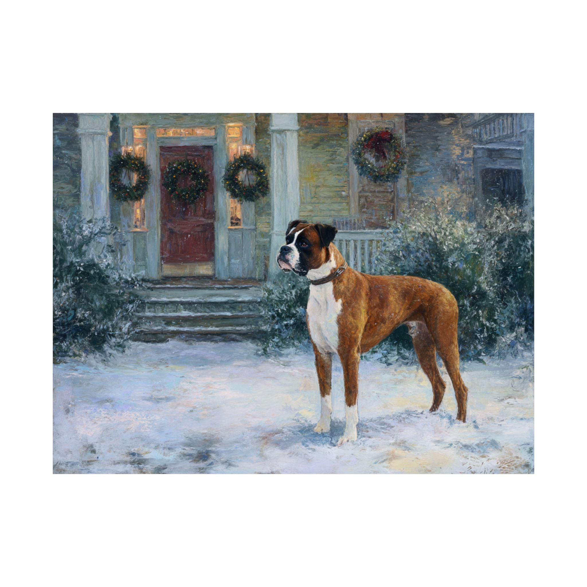 Boxer 3- Home for the Holidays Collection