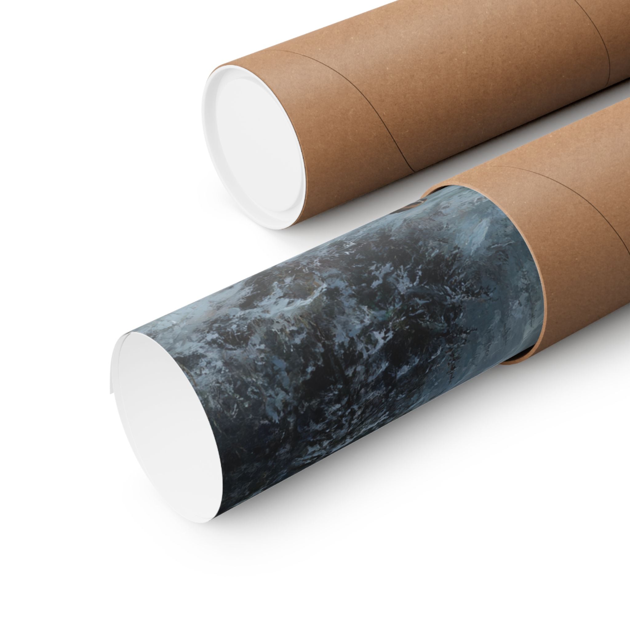 Boxer 3- Winter Whiskers Collection