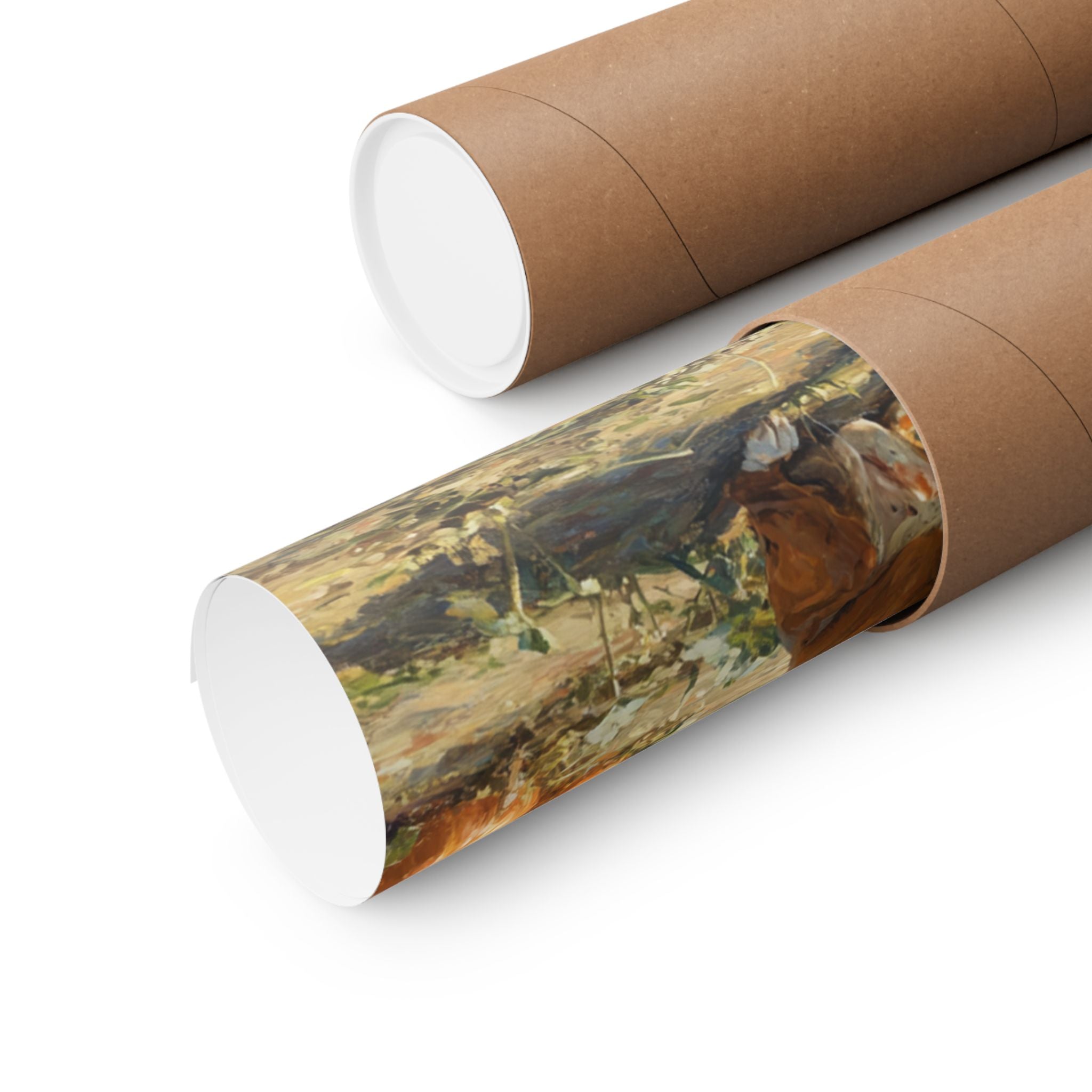 Boxer 6- Pumpkin Patch Collection