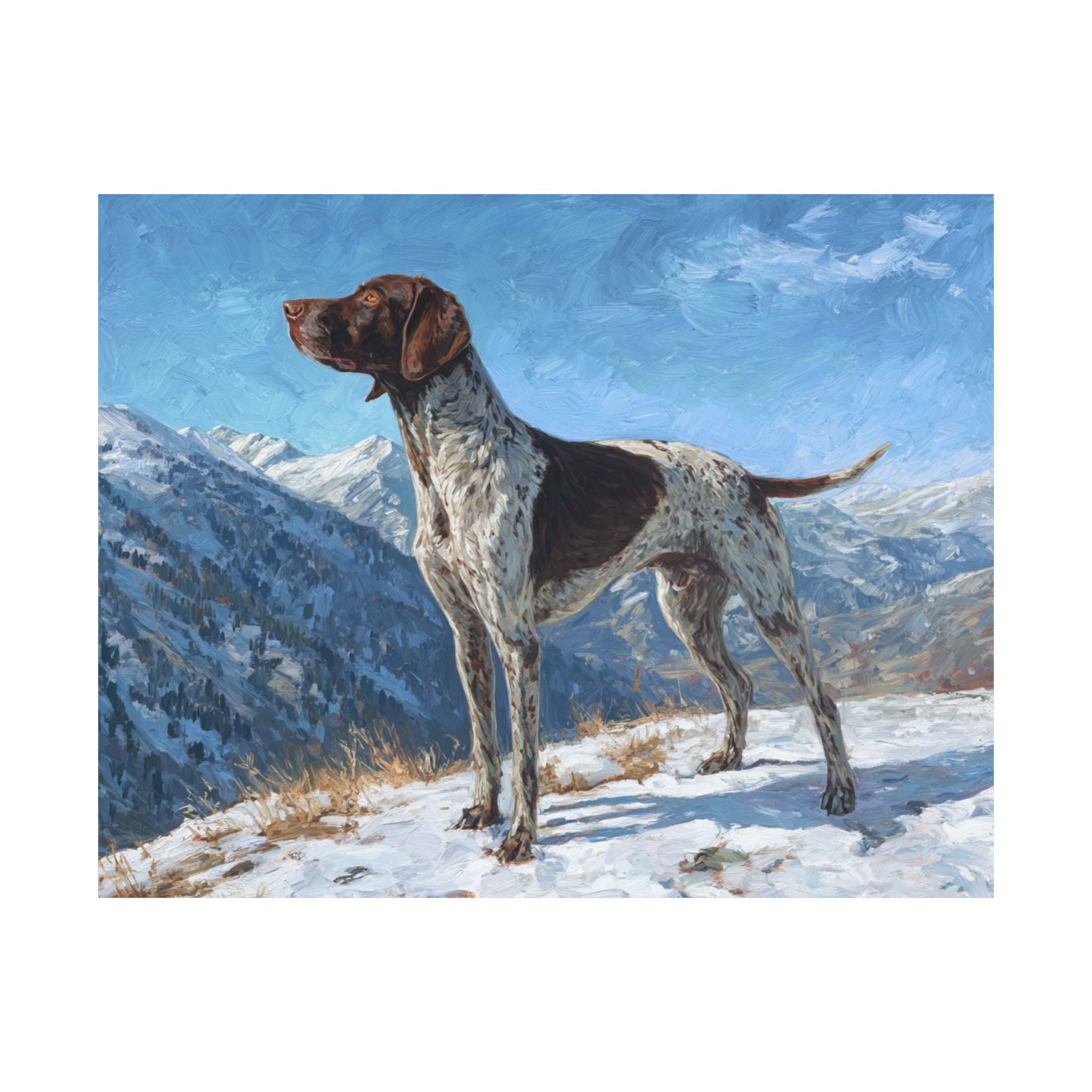German Short Haired Pointer 6- Adventure Paws Collection