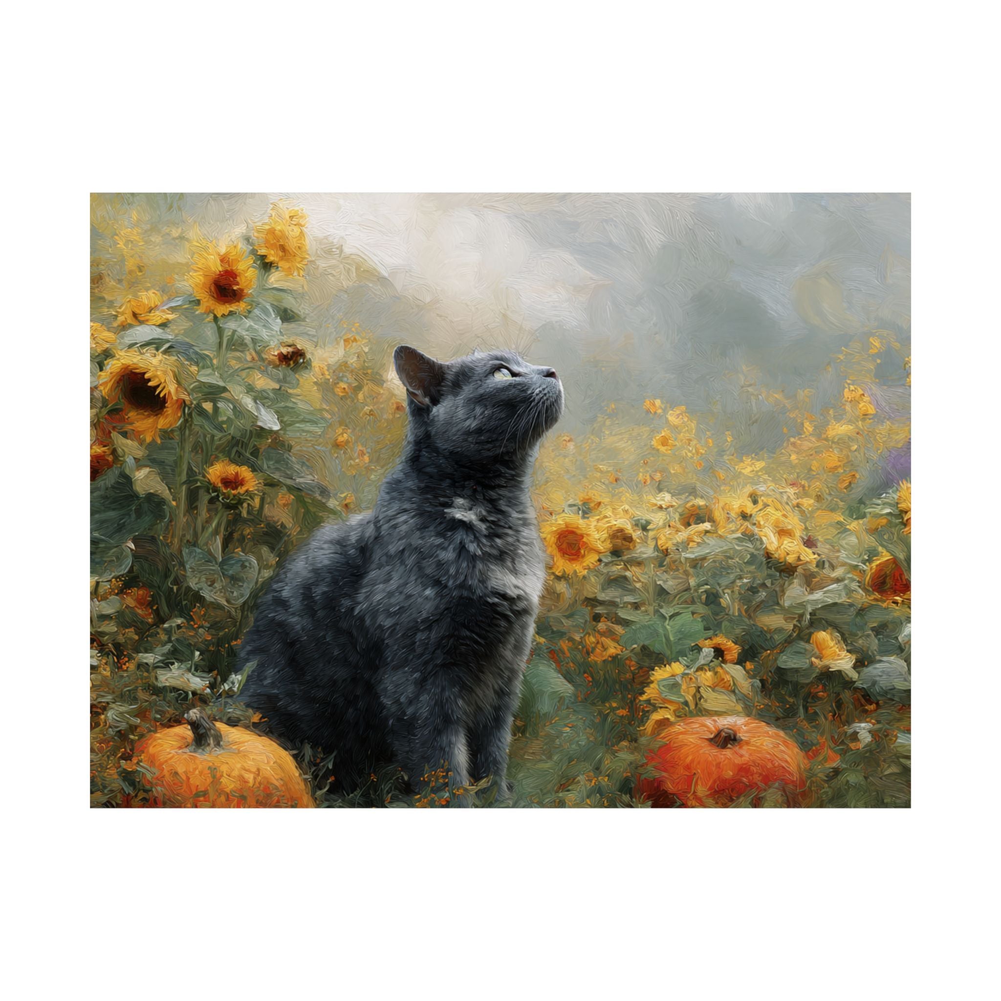 British Short Hair 2- Sunflower Season Collection