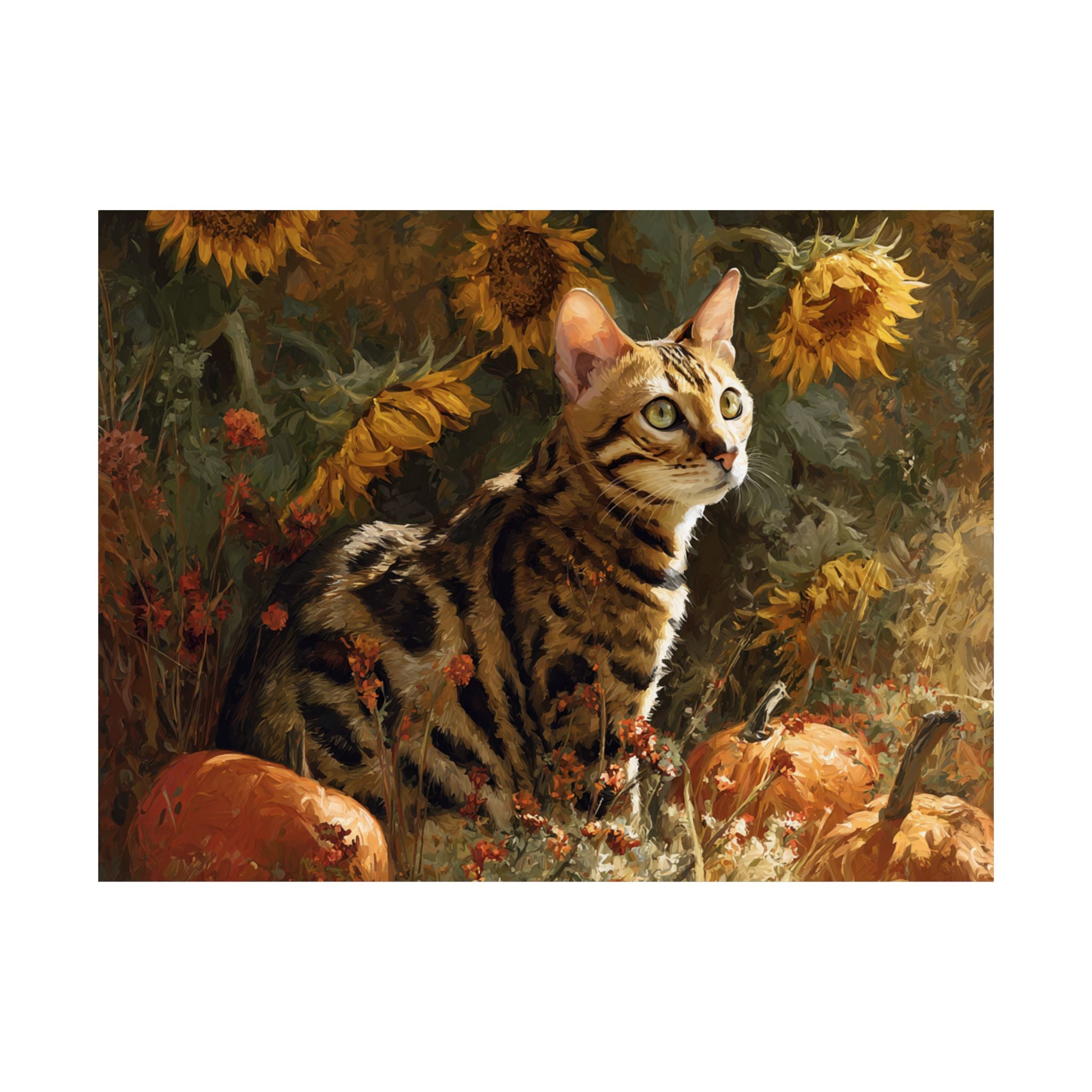 Bengal 2- Sunflower Season Collection