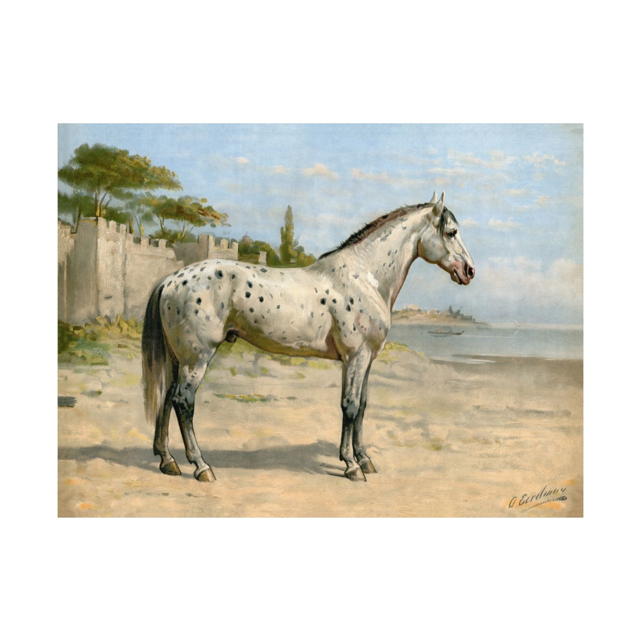 Turkish Horse- Eerelman Collection
