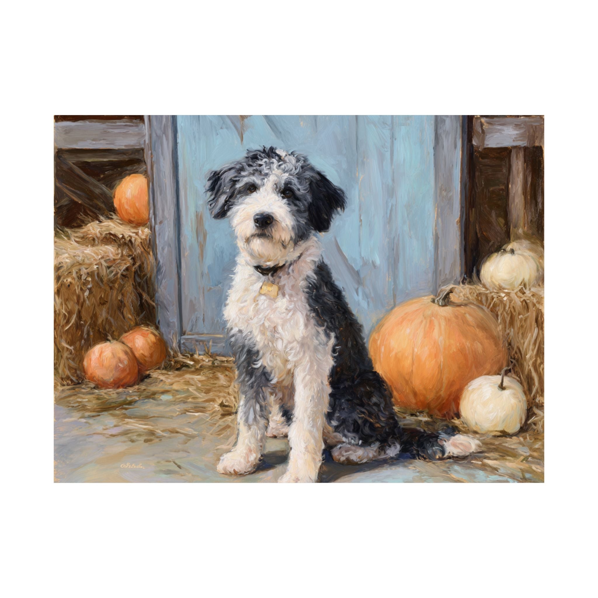 Aussiedoodle 1- Pumpkin Patch Collection