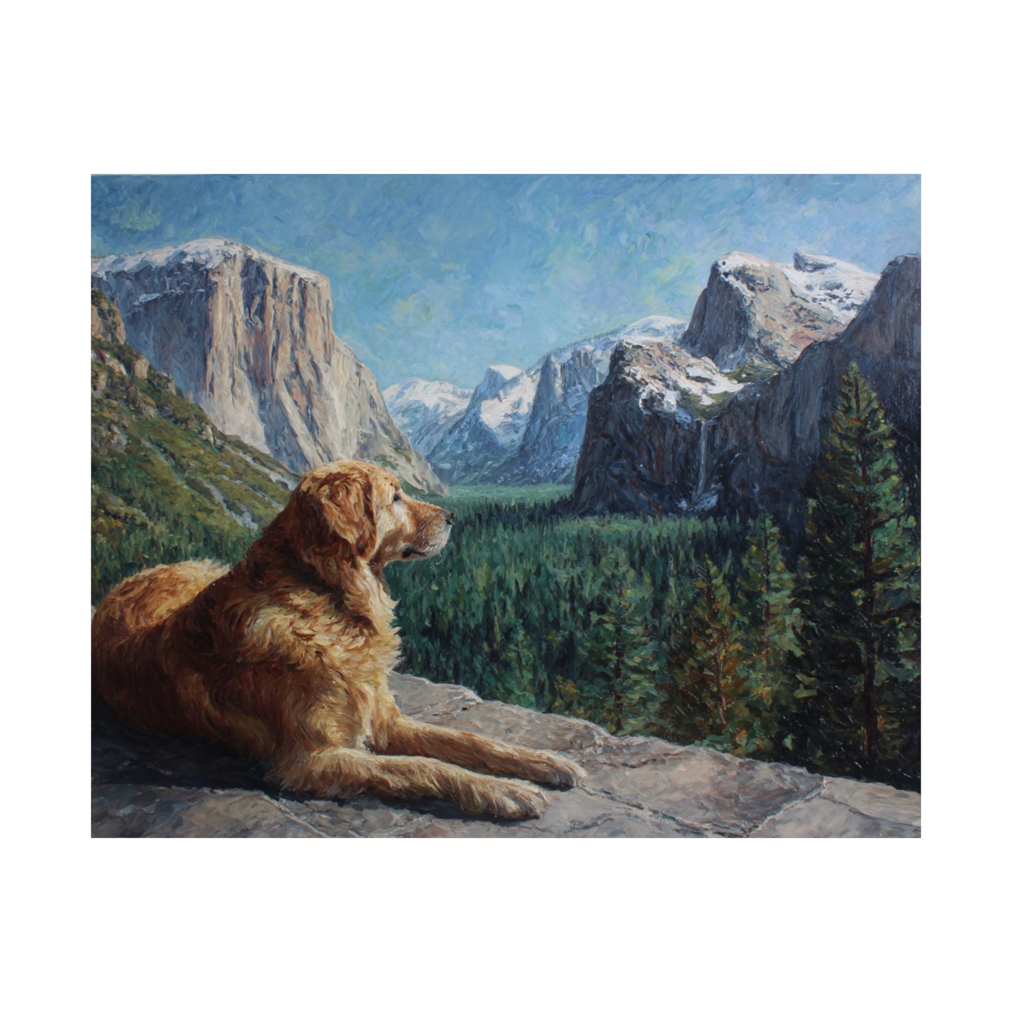 Golden Retriever 2- Adventure Paws Collection