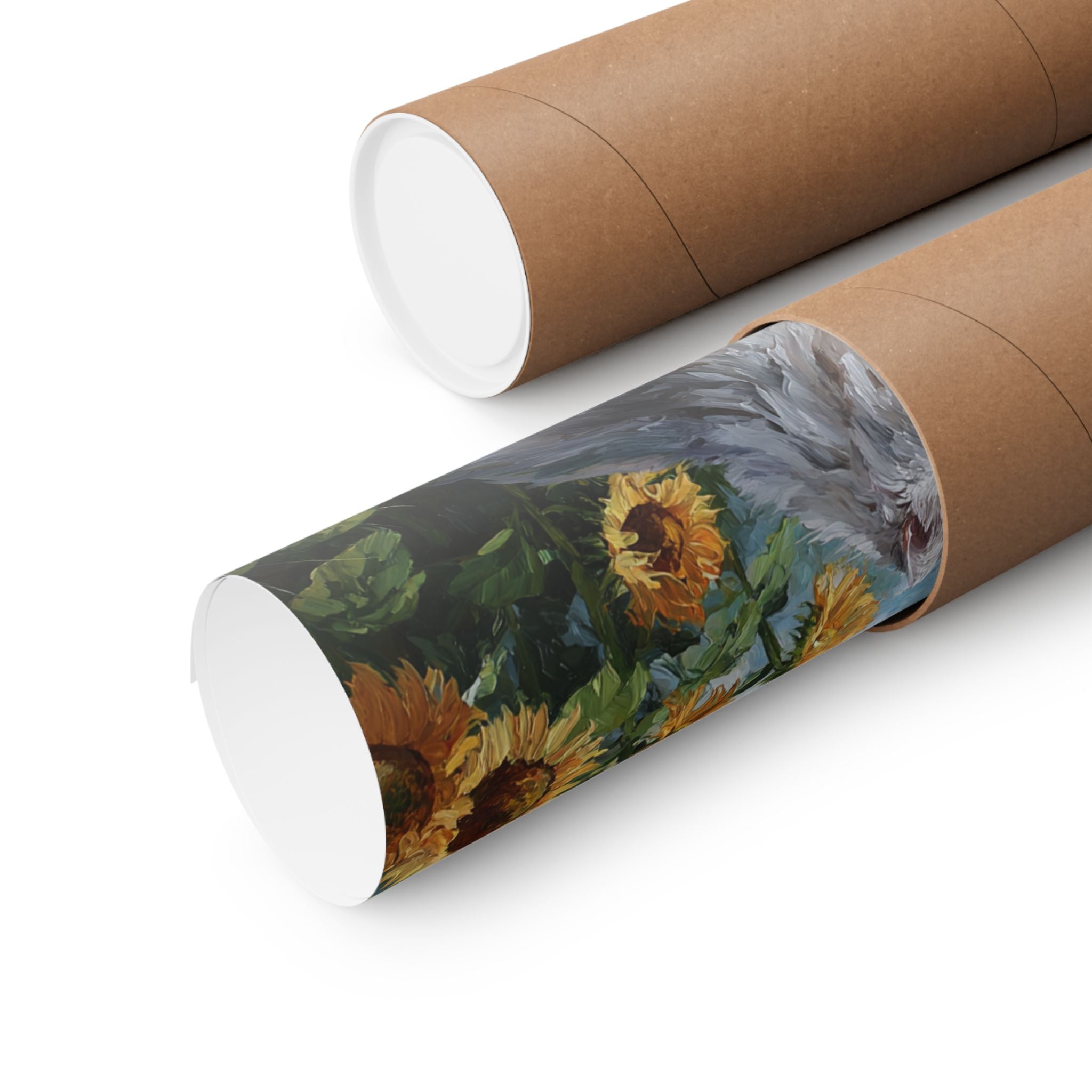 Persian 1- Sunflower Season Collection