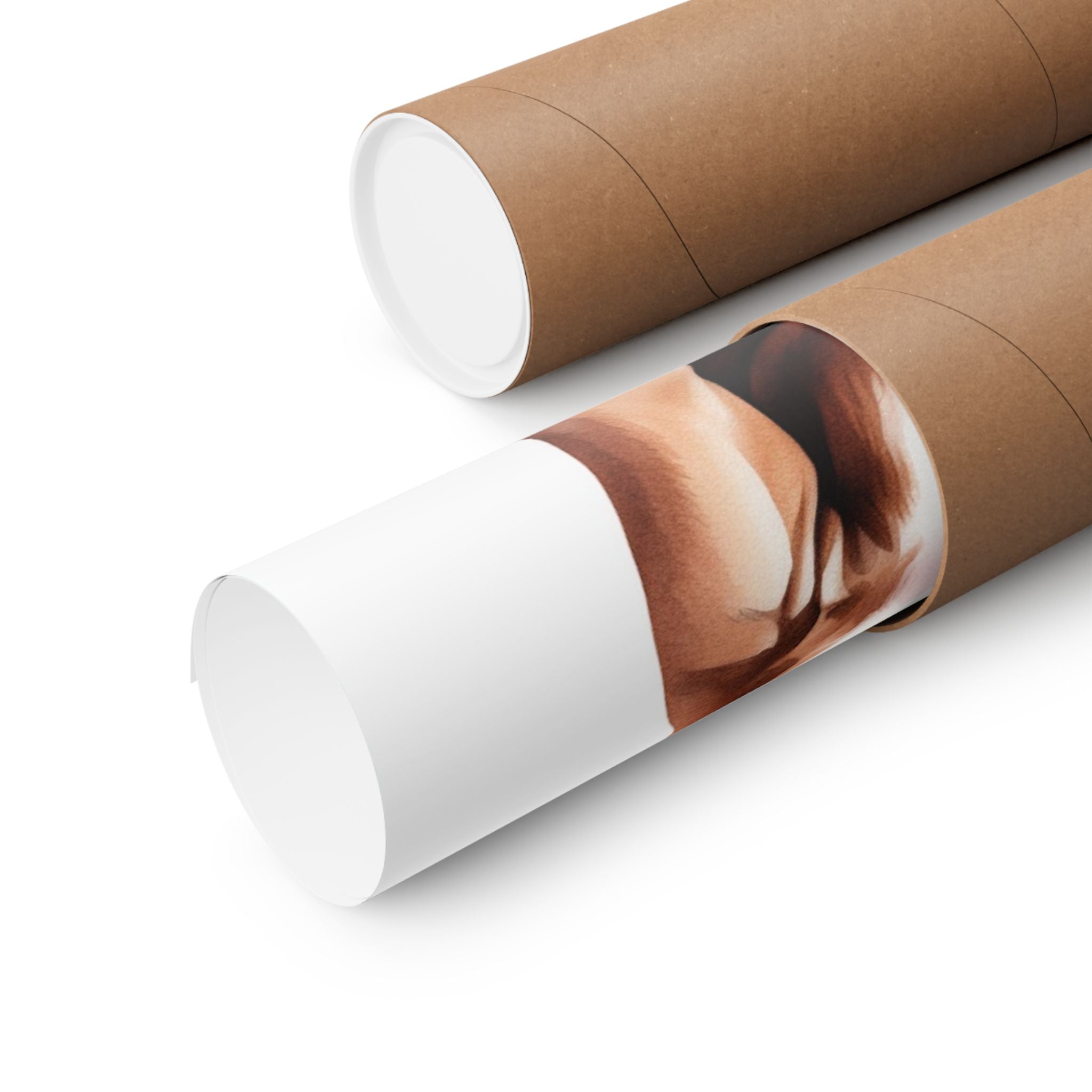 Pit Bull 2- Bow Collection