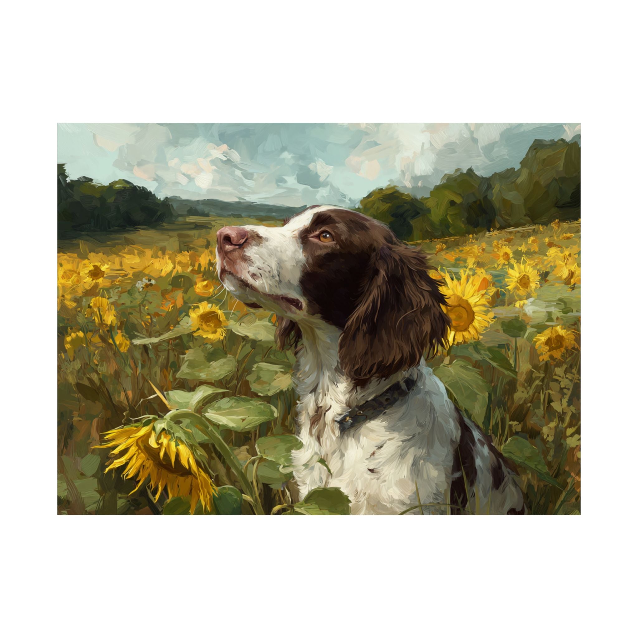 Springer Spaniel 7- Sunflower Season Collection