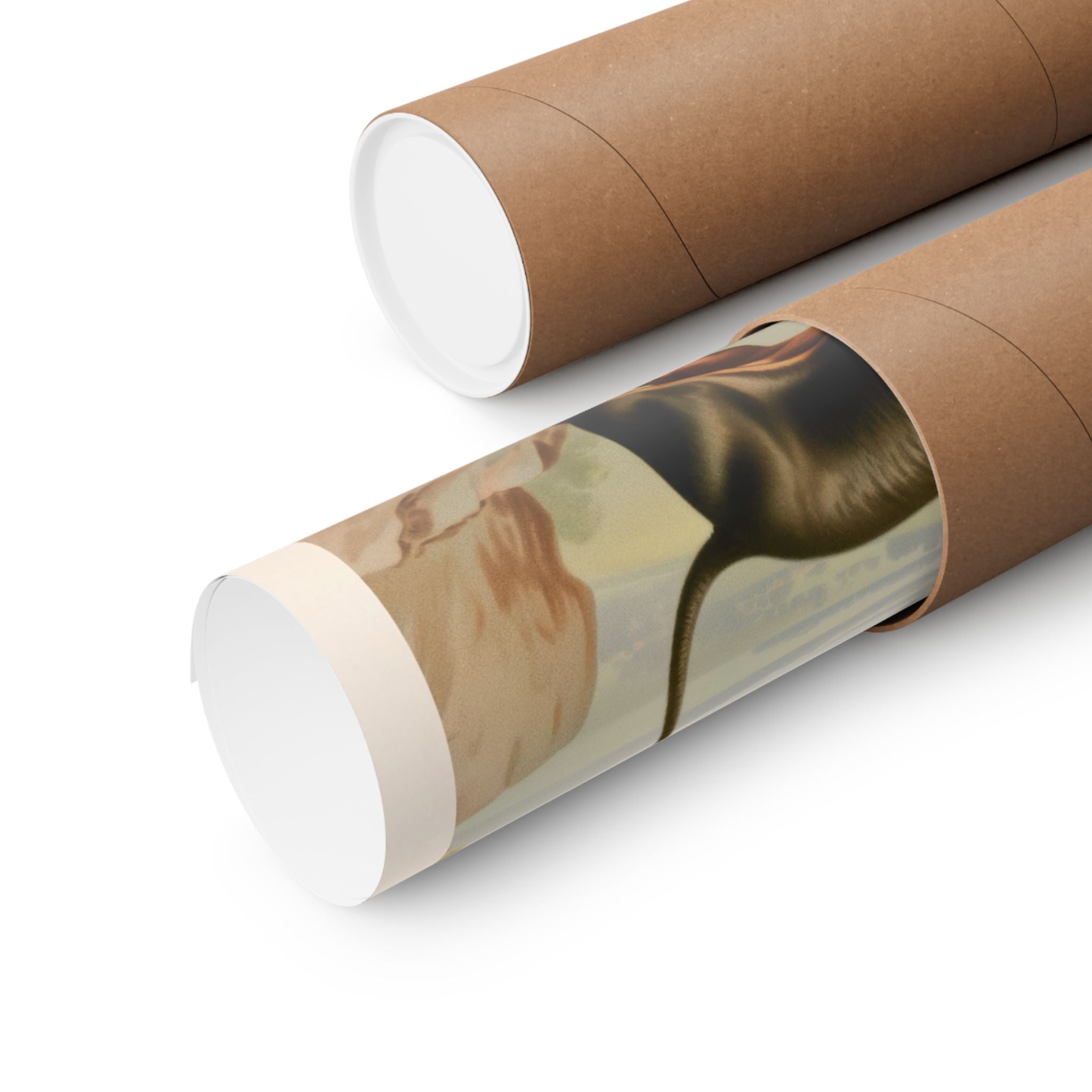 Dachshund 1- CFA Edition