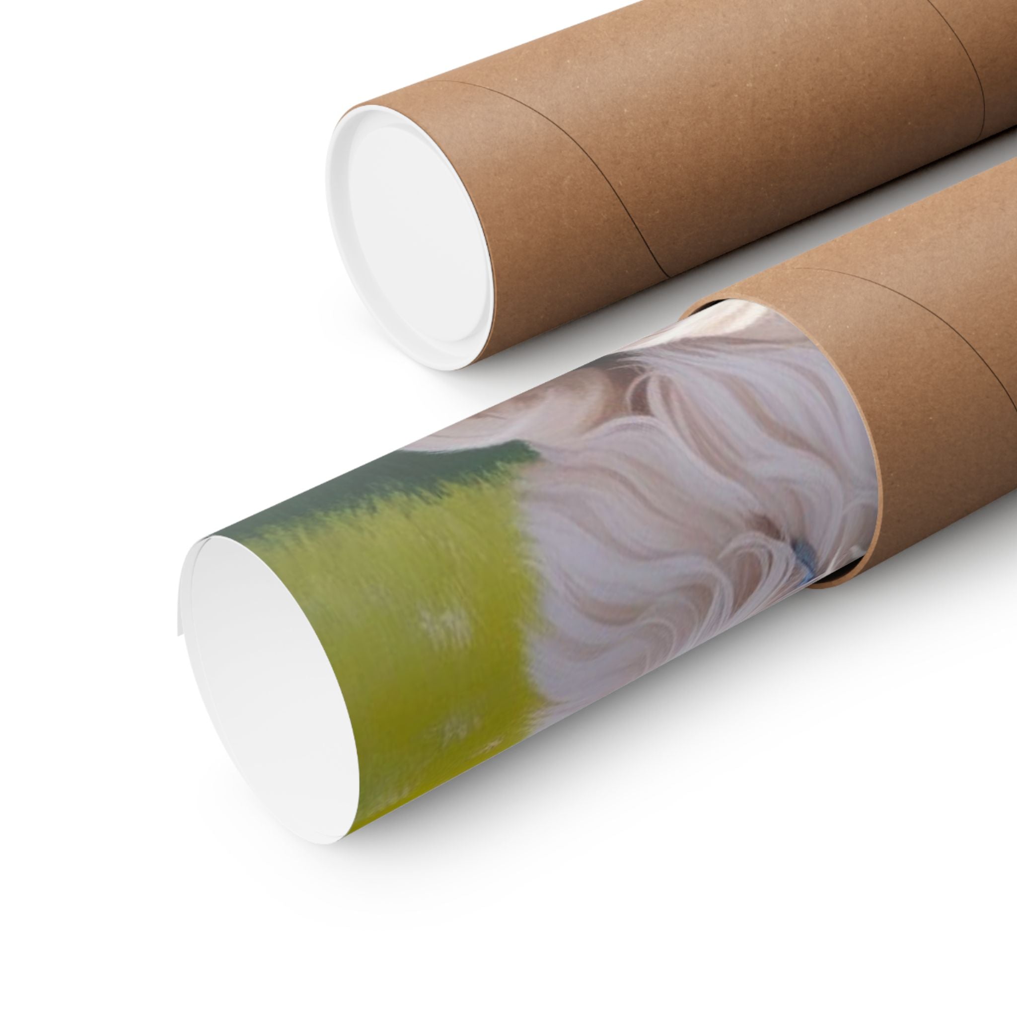 Turkish Angora Cat- Garden Collection